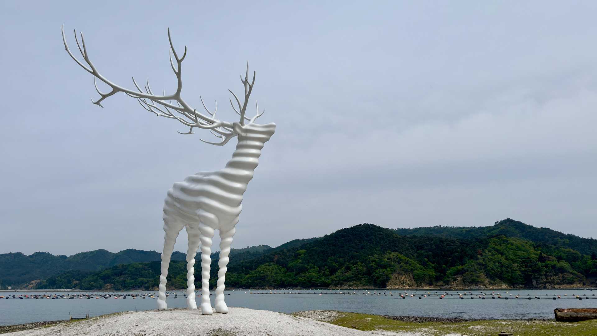名和晃平「White Deer (Oshika)」