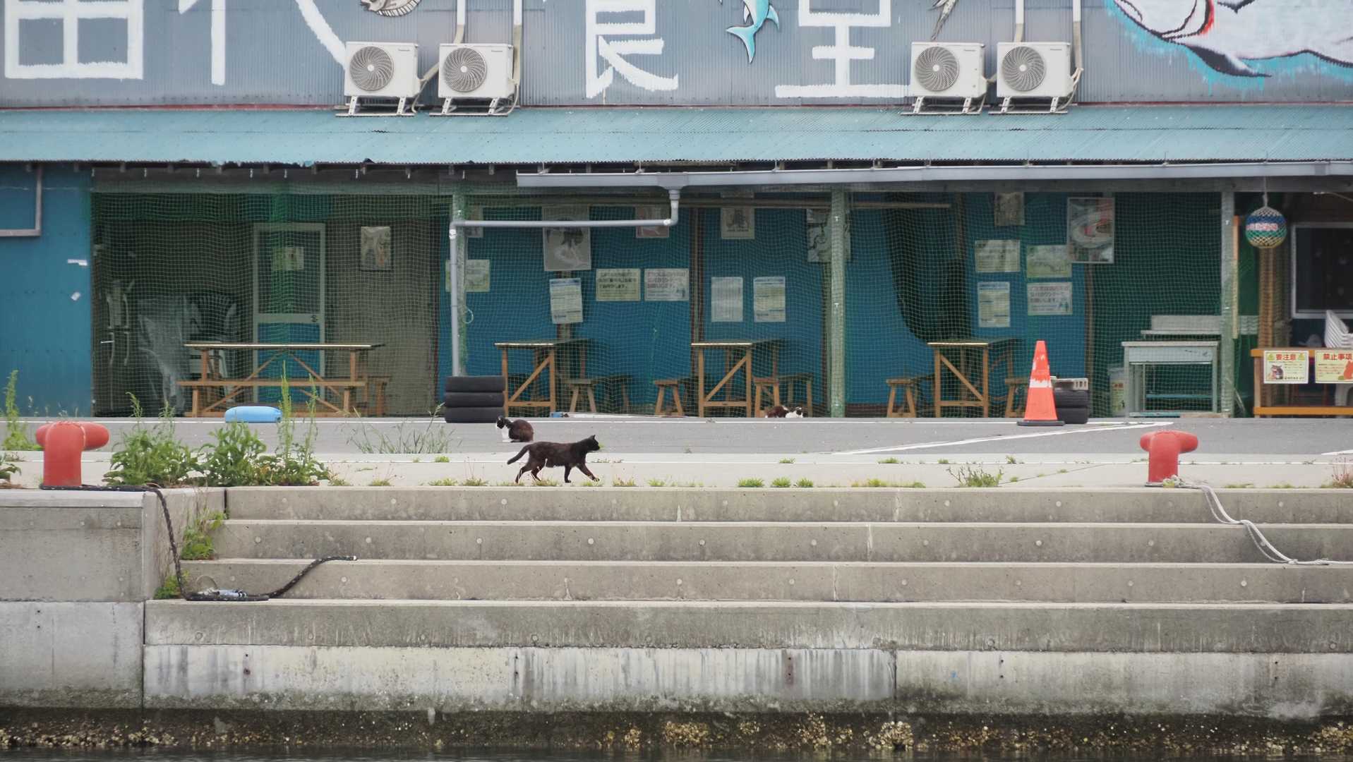 みちのく潮風トレイル#1／松川浦〜女川駅 の写真 108