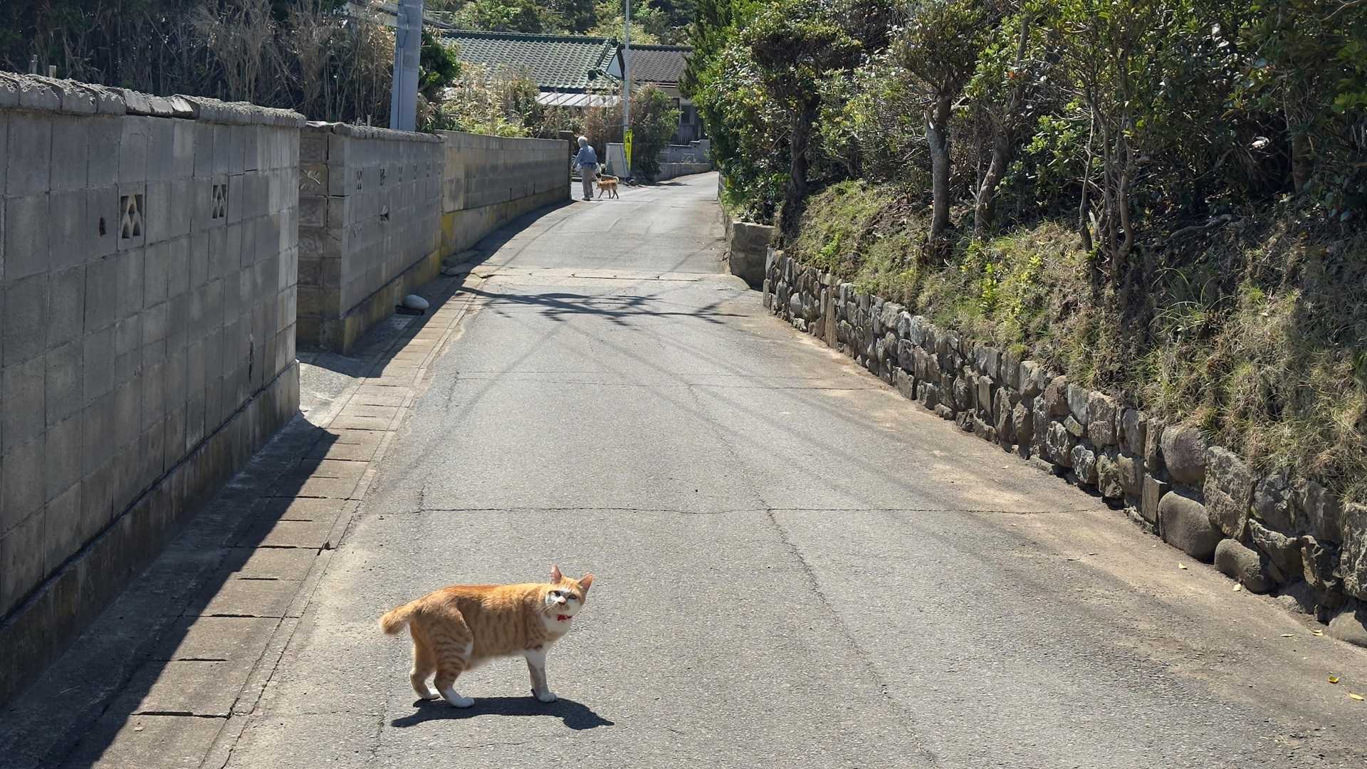 みちのく潮風トレイル#1／松川浦〜女川駅 の写真 129