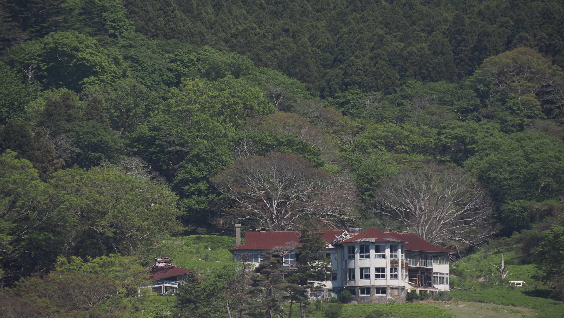みちのく潮風トレイル#1／松川浦〜女川駅 の写真 137