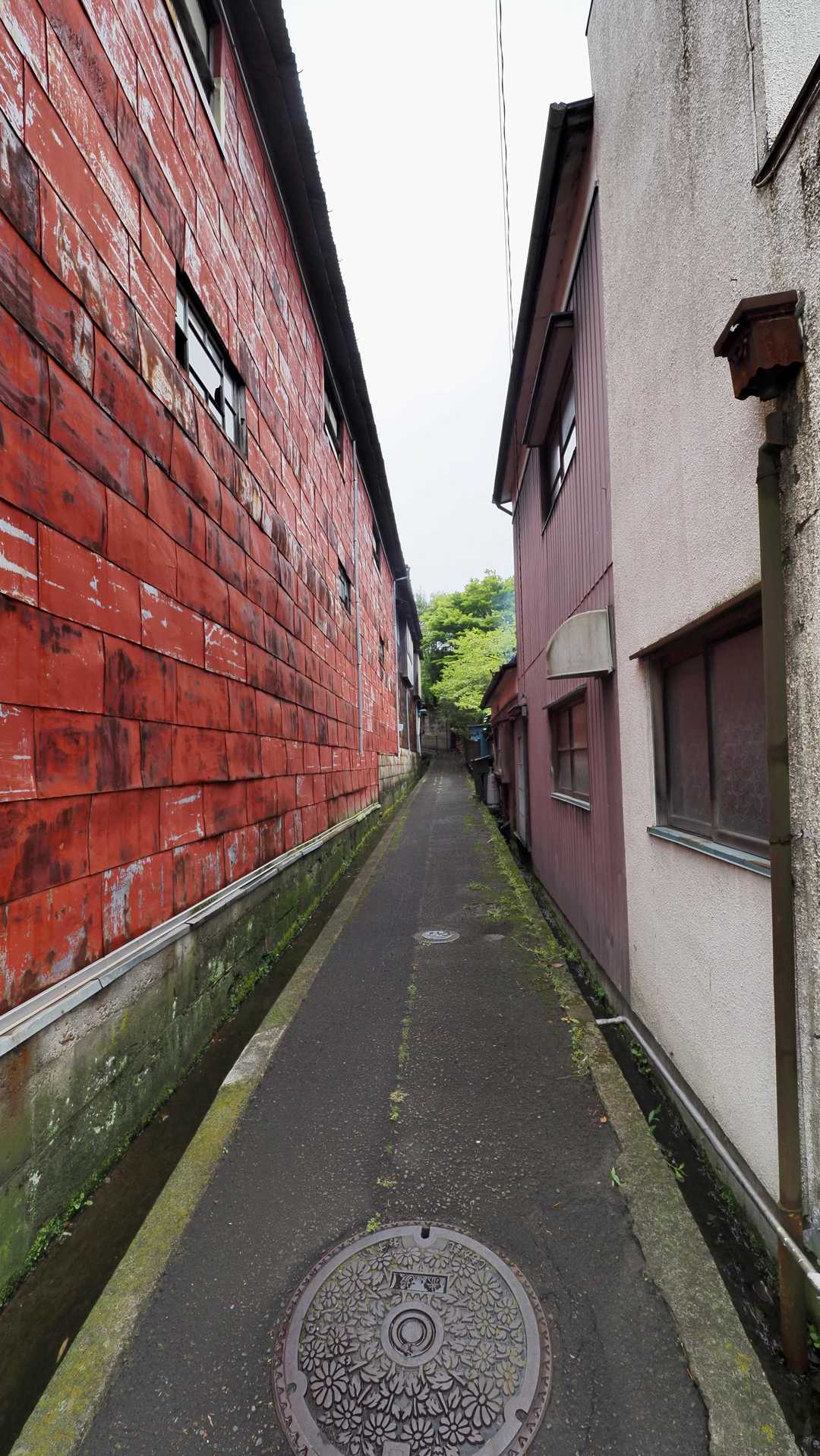 みちのく潮風トレイル#1／松川浦〜女川駅 の写真 68
