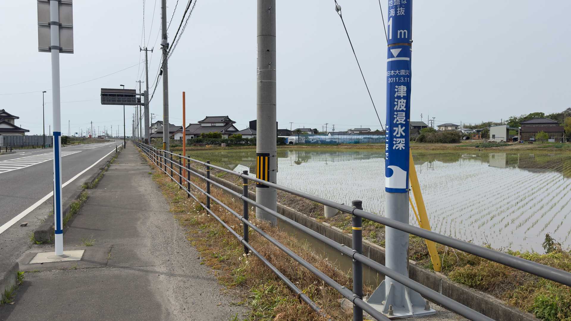 みちのく潮風トレイル#1／松川浦〜女川駅 の写真 46