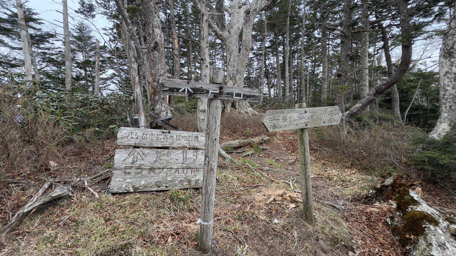 編笠山・権現岳周回 の写真 18