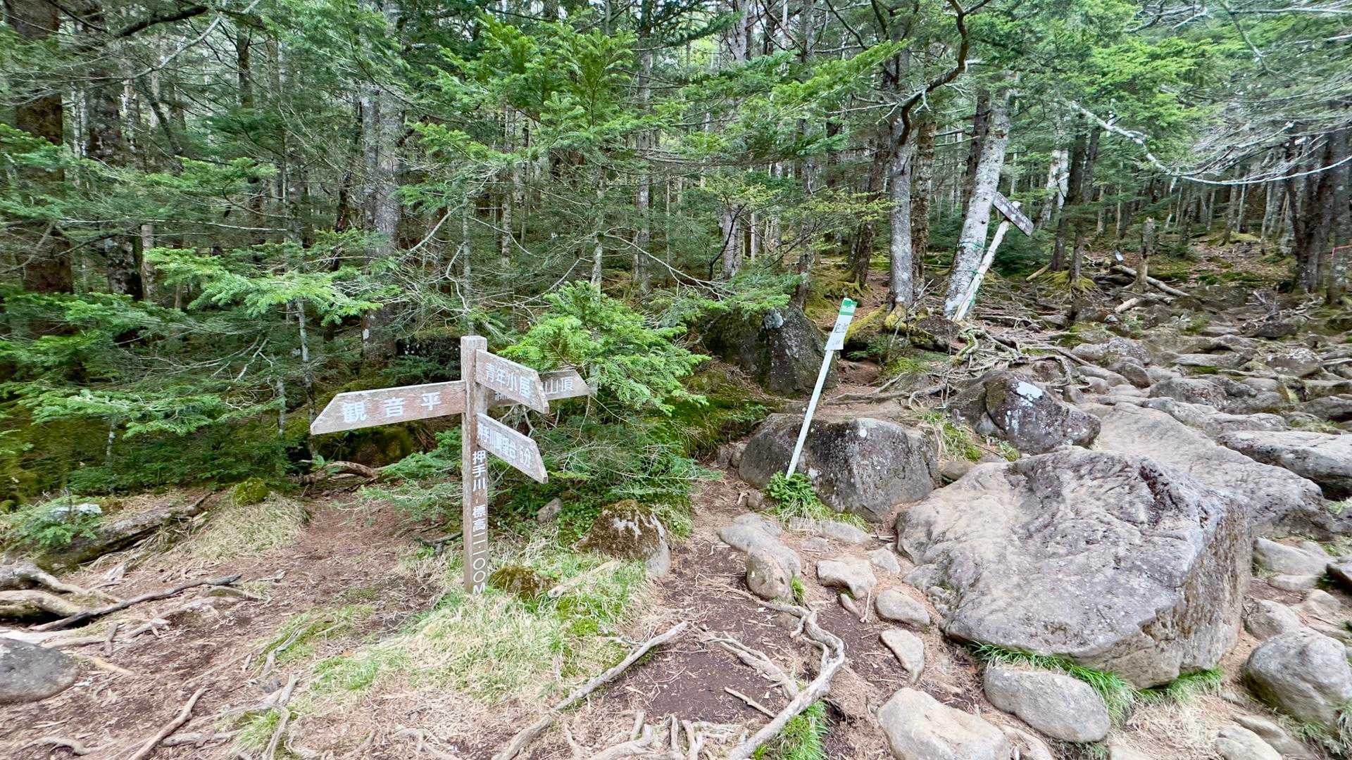 編笠山・権現岳周回 の写真 2