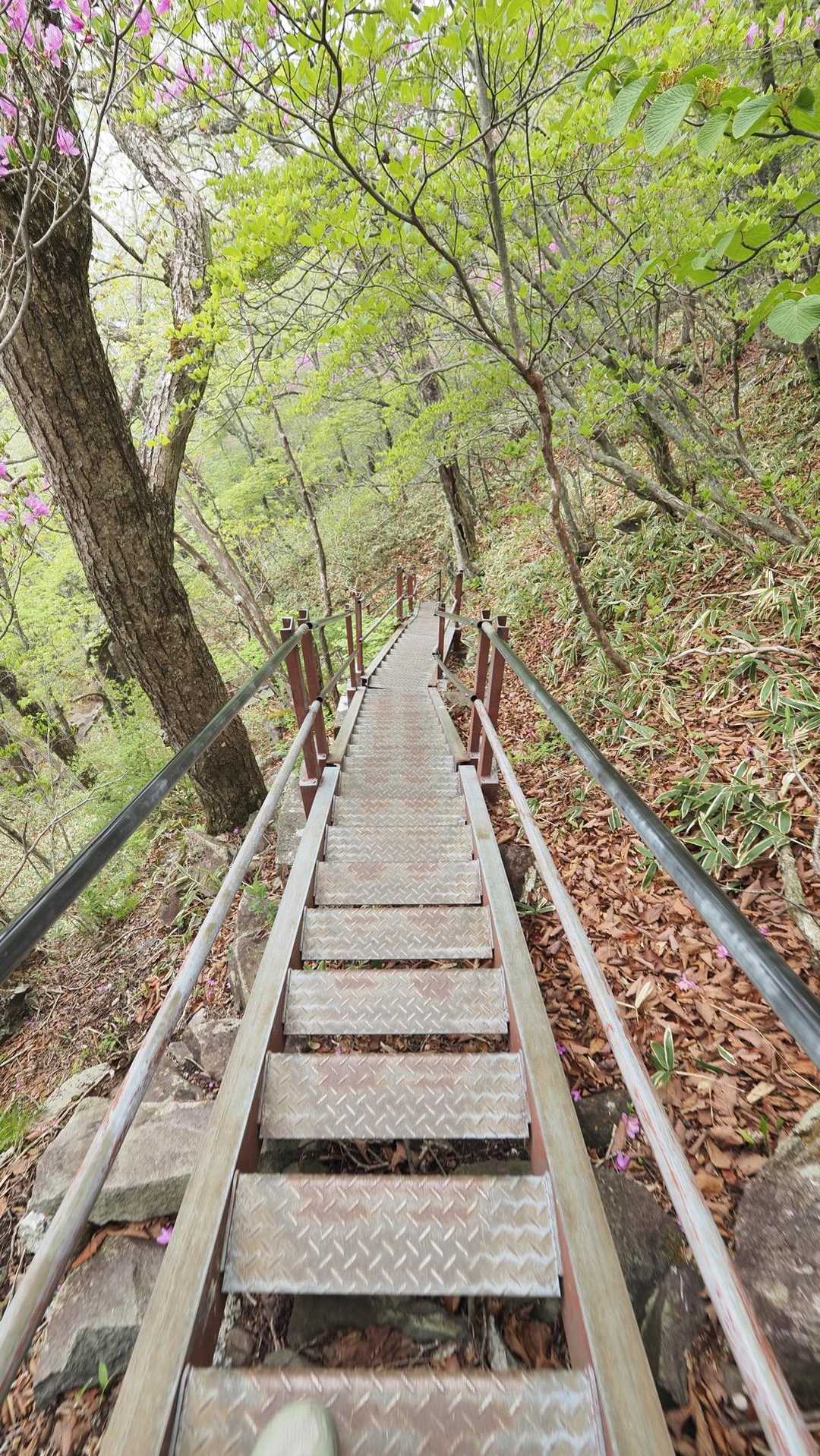 地蔵岳・高天原・黒檜山（赤城山）・駒ヶ岳 の写真 29