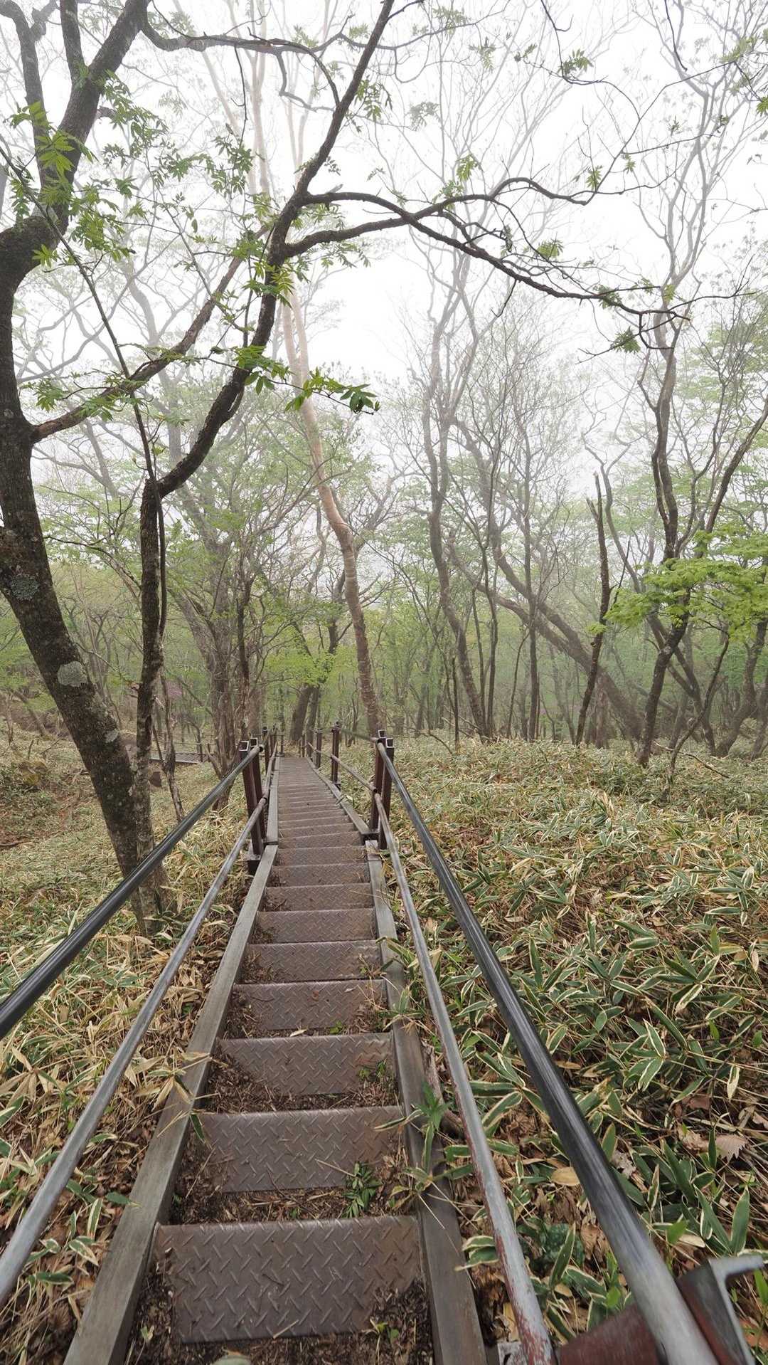 地蔵岳・高天原・黒檜山（赤城山）・駒ヶ岳 の写真 28