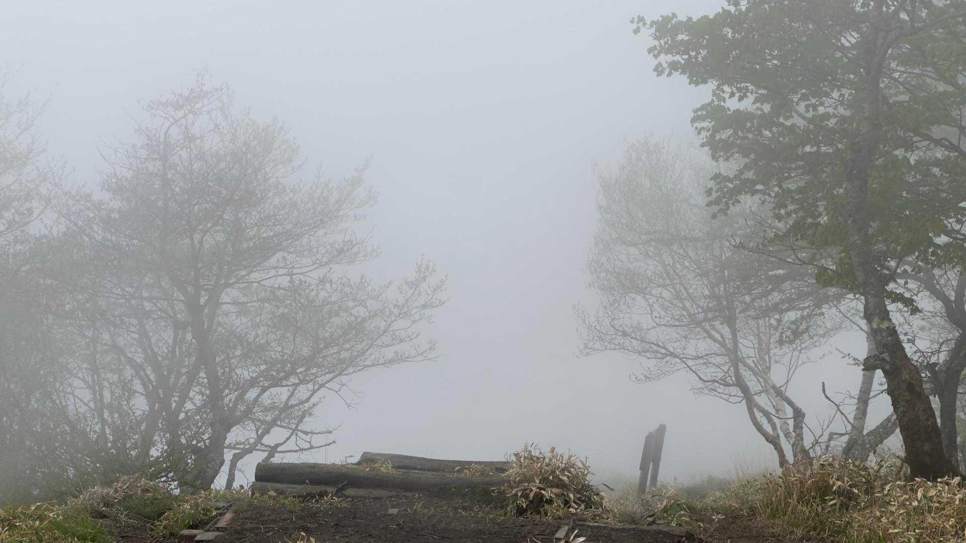 地蔵岳・高天原・黒檜山（赤城山）・駒ヶ岳 の写真 27