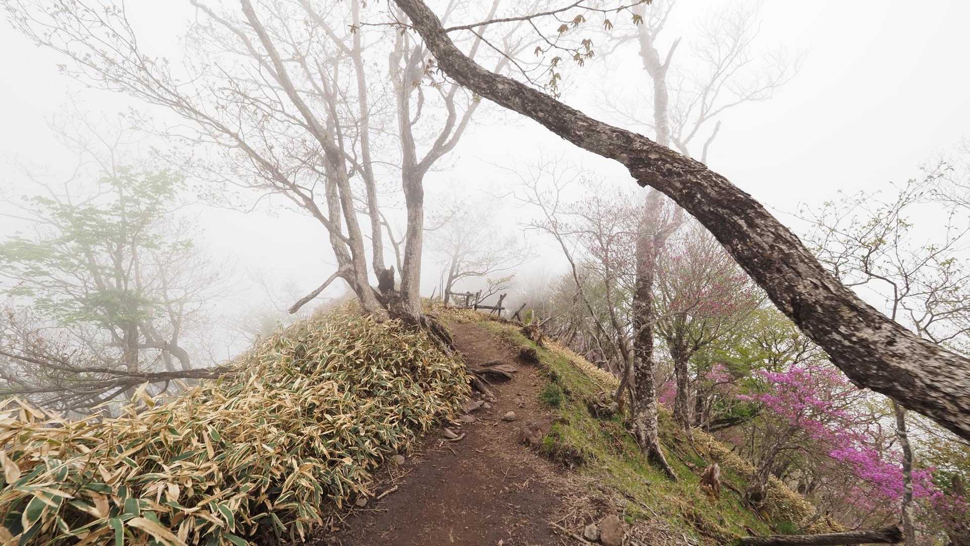 地蔵岳・高天原・黒檜山（赤城山）・駒ヶ岳 の写真 25