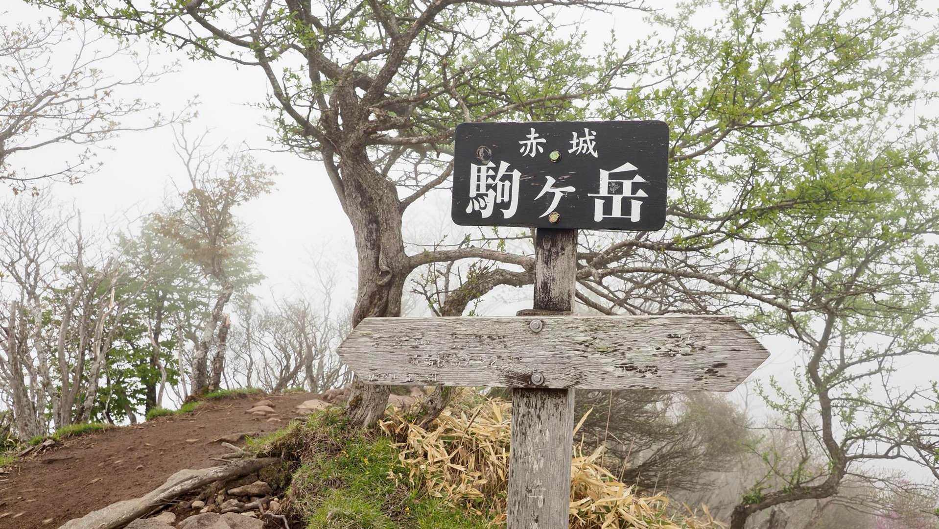 地蔵岳・高天原・黒檜山（赤城山）・駒ヶ岳 の写真 24