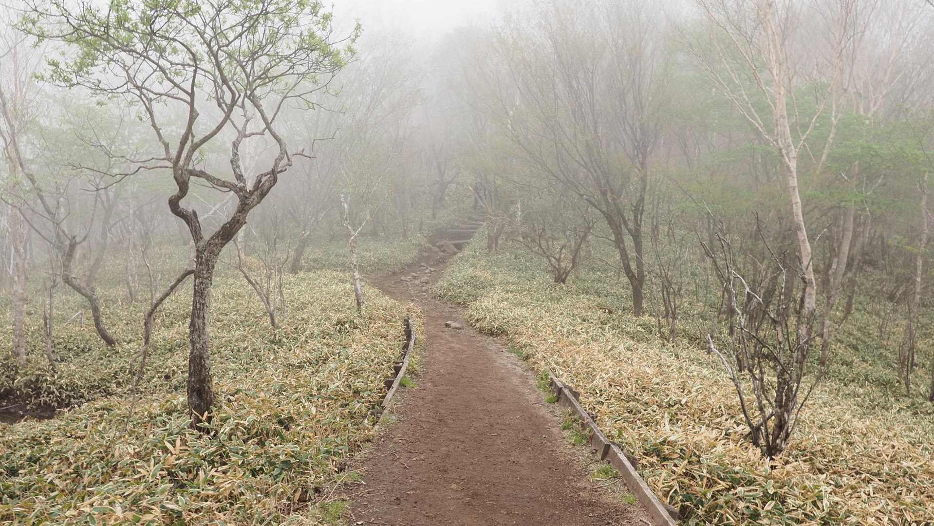 地蔵岳・高天原・黒檜山（赤城山）・駒ヶ岳 の写真 23