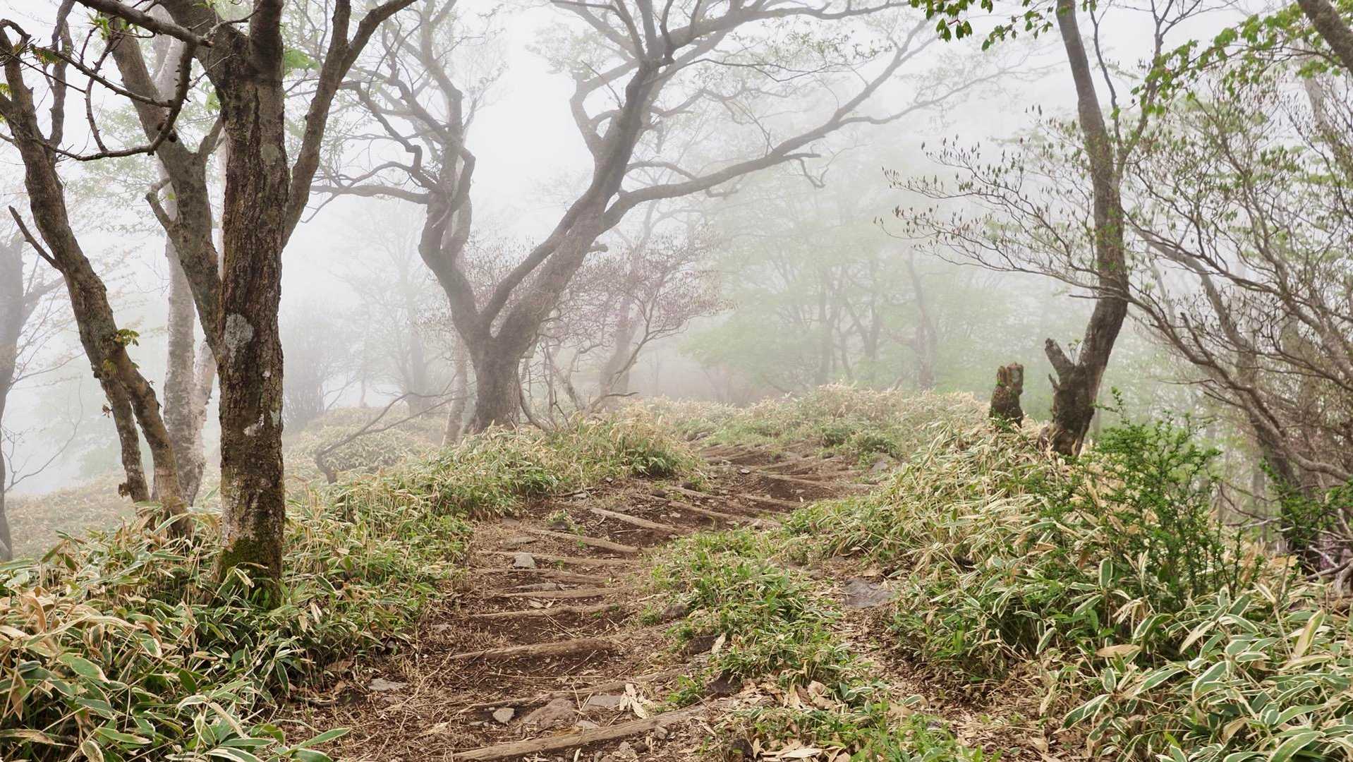 地蔵岳・高天原・黒檜山（赤城山）・駒ヶ岳 の写真 22