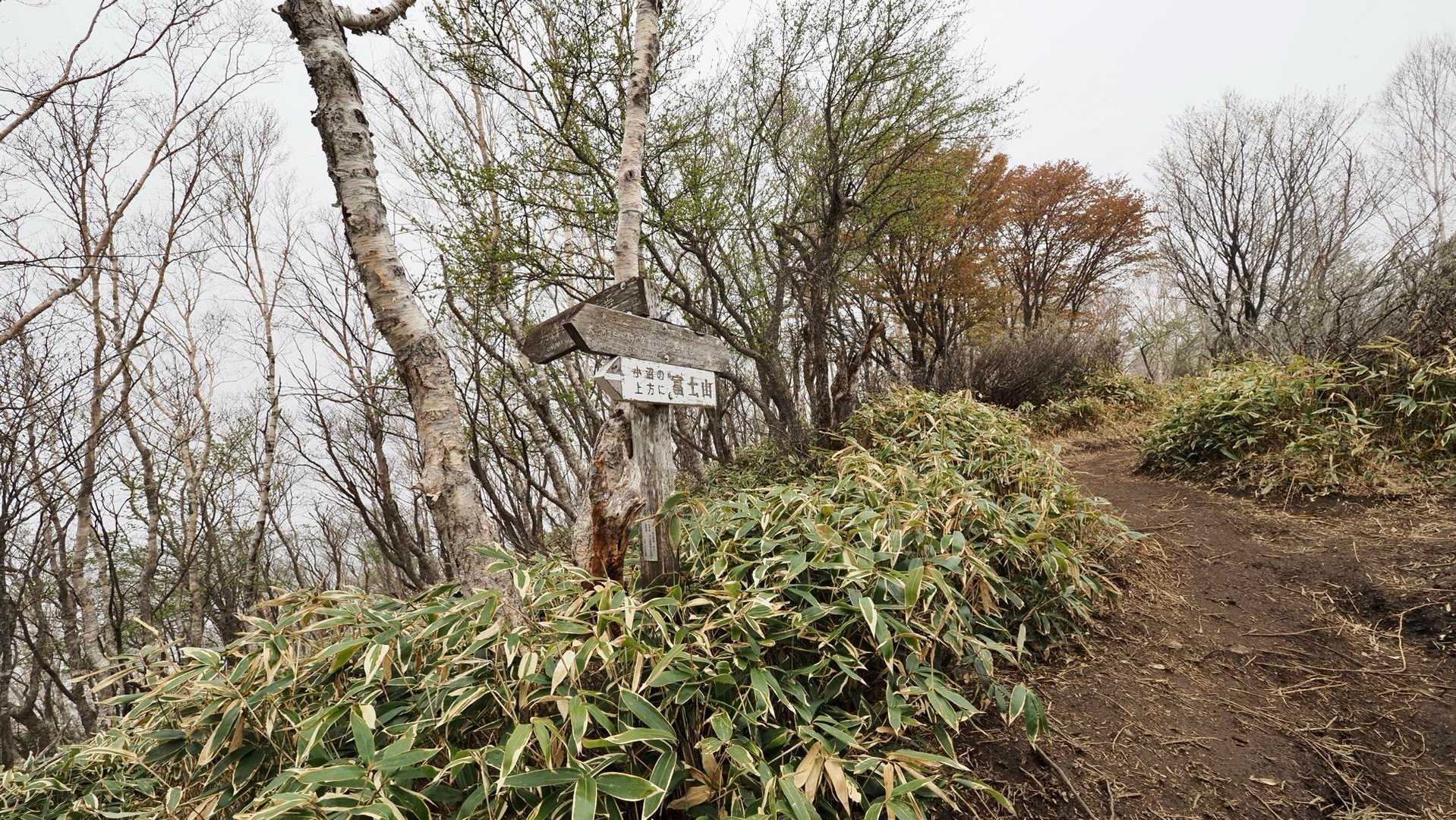 地蔵岳・高天原・黒檜山（赤城山）・駒ヶ岳 の写真 19