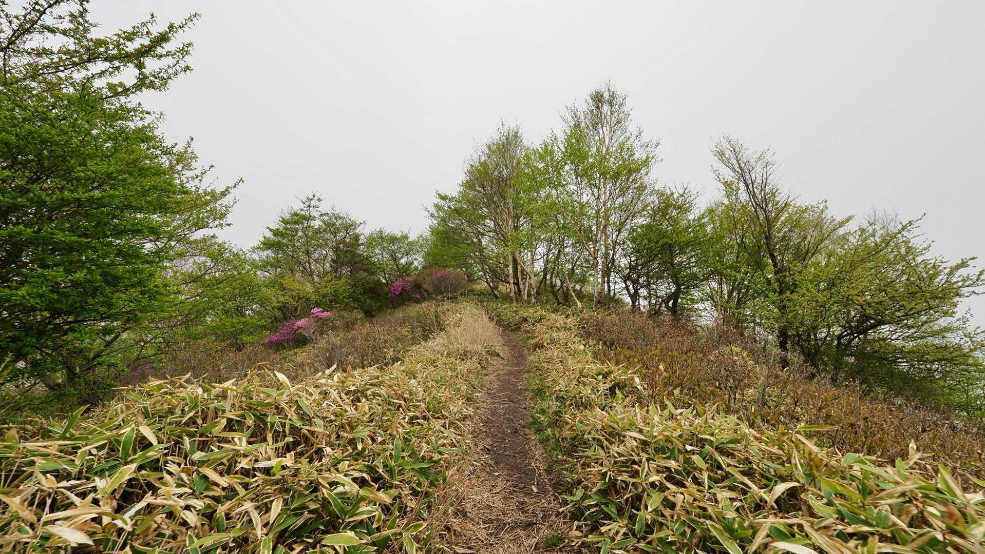 地蔵岳・高天原・黒檜山（赤城山）・駒ヶ岳 の写真 7
