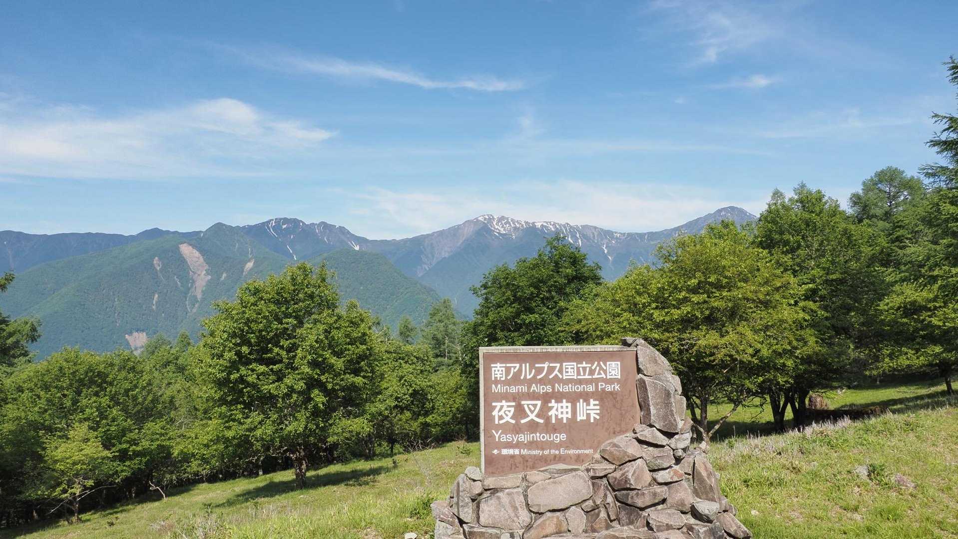 鳳凰三山縦走（薬師岳・観音岳・地蔵岳）夜叉神峠ピストン の写真 3
