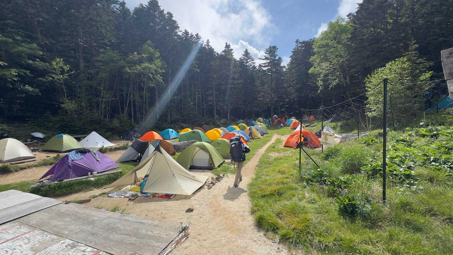 鳳凰三山縦走（薬師岳・観音岳・地蔵岳）夜叉神峠ピストン の写真 11