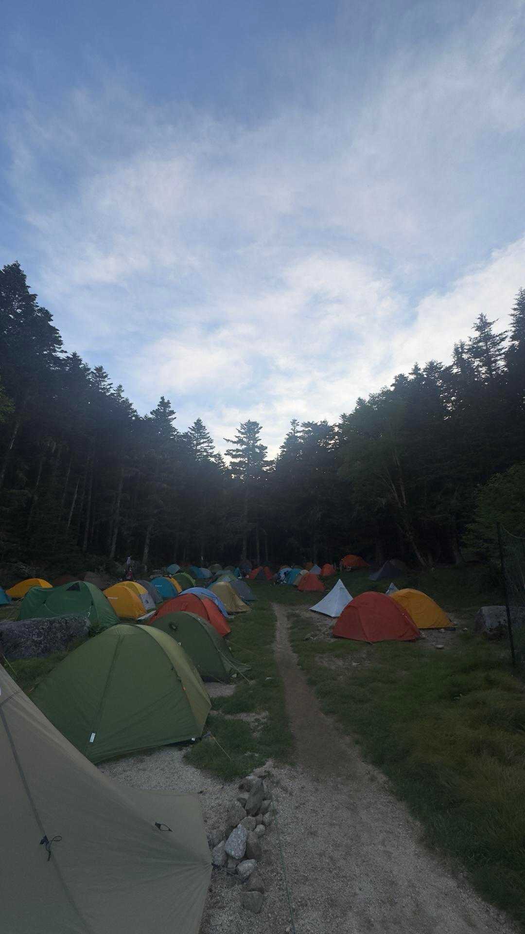 鳳凰三山縦走（薬師岳・観音岳・地蔵岳）夜叉神峠ピストン の写真 12