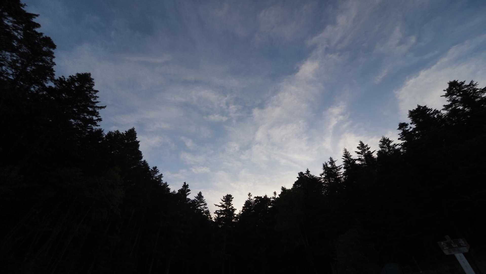 鳳凰三山縦走（薬師岳・観音岳・地蔵岳）夜叉神峠ピストン の写真 13