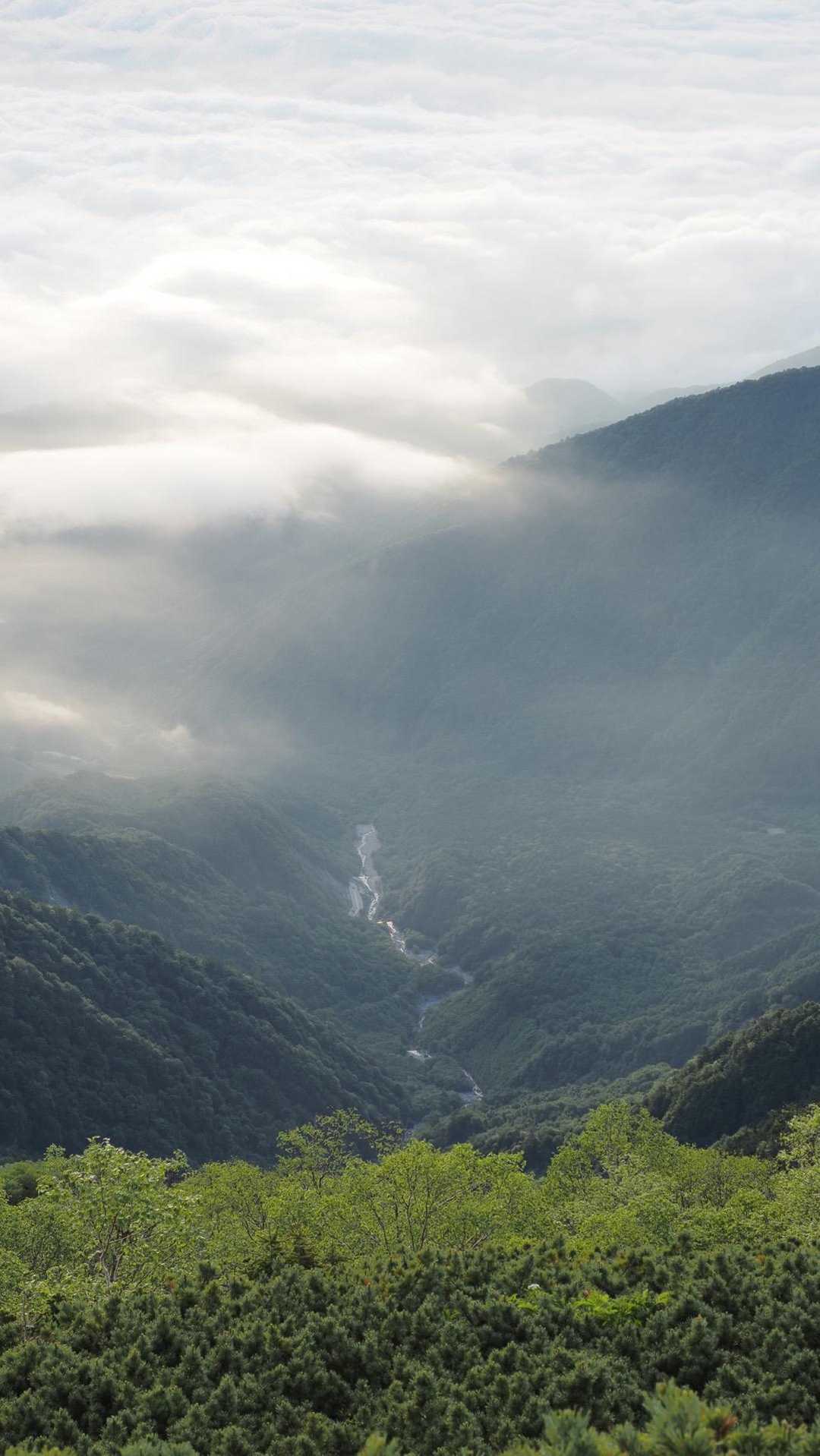 鳳凰三山縦走（薬師岳・観音岳・地蔵岳）夜叉神峠ピストン の写真 32