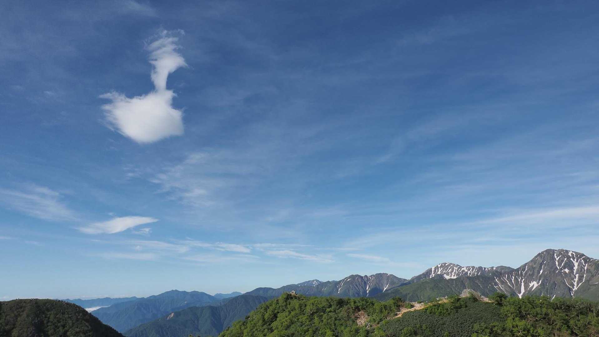 鳳凰三山縦走（薬師岳・観音岳・地蔵岳）夜叉神峠ピストン の写真 37