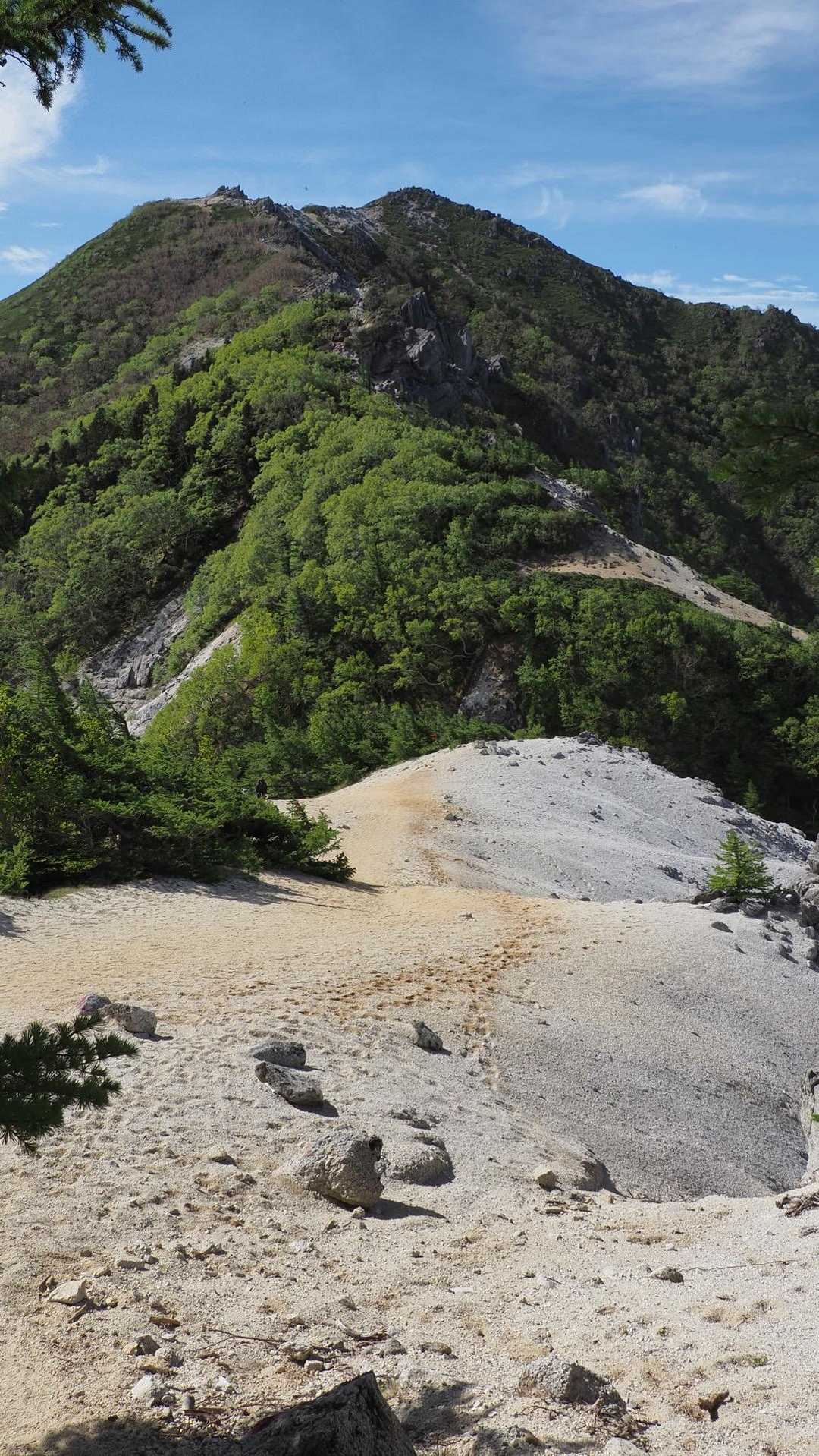 鳳凰三山縦走（薬師岳・観音岳・地蔵岳）夜叉神峠ピストン の写真 42