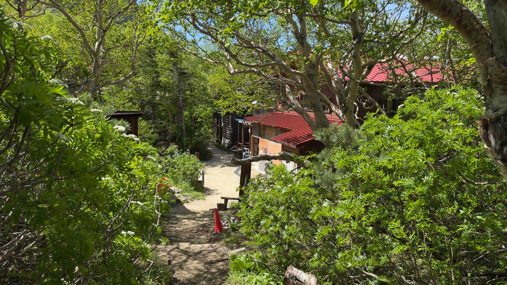 鳳凰三山縦走（薬師岳・観音岳・地蔵岳）夜叉神峠ピストン の写真 45