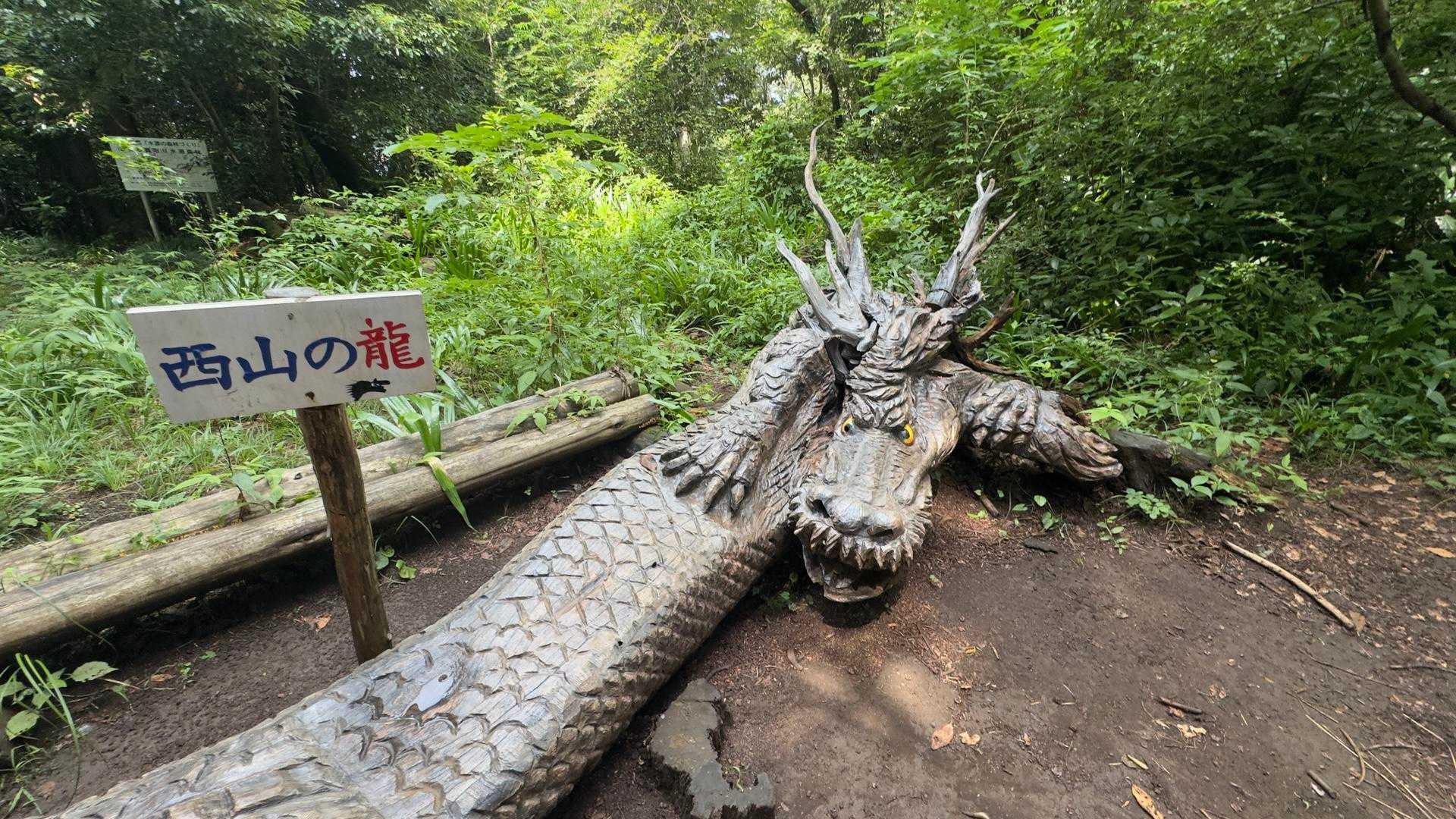 高尾山ビアマウント🍻（草戸山・榎窪山・泰光寺山・東山・入沢山・名手山・大登不見山・中沢山・高岩山・コンピラ山・大洞山...） の写真 6