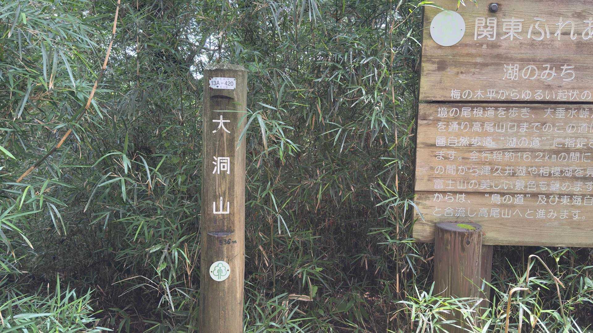 高尾山ビアマウント🍻（草戸山・榎窪山・泰光寺山・東山・入沢山・名手山・大登不見山・中沢山・高岩山・コンピラ山・大洞山...） の写真 9