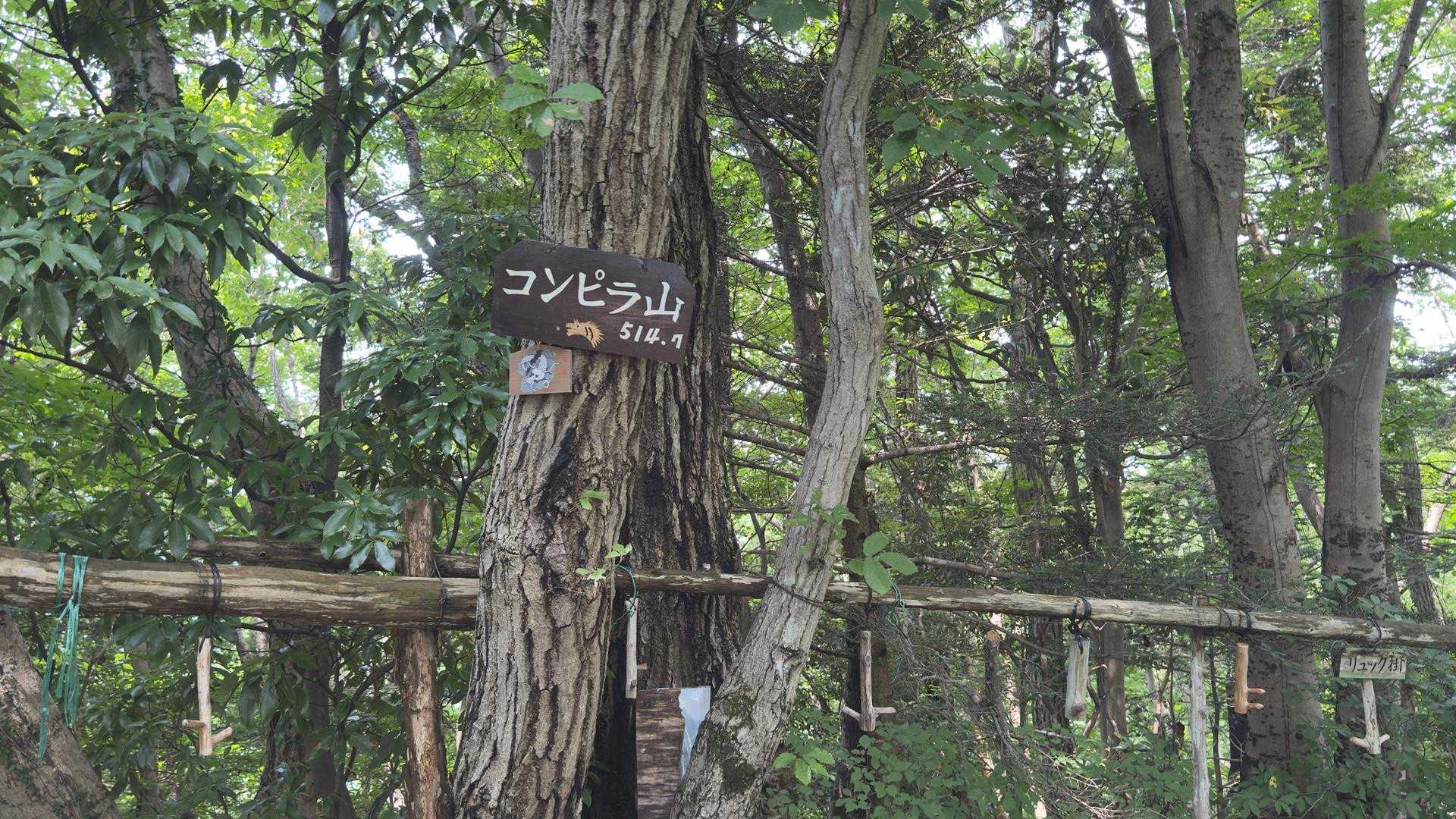高尾山ビアマウント🍻（草戸山・榎窪山・泰光寺山・東山・入沢山・名手山・大登不見山・中沢山・高岩山・コンピラ山・大洞山...） の写真 8