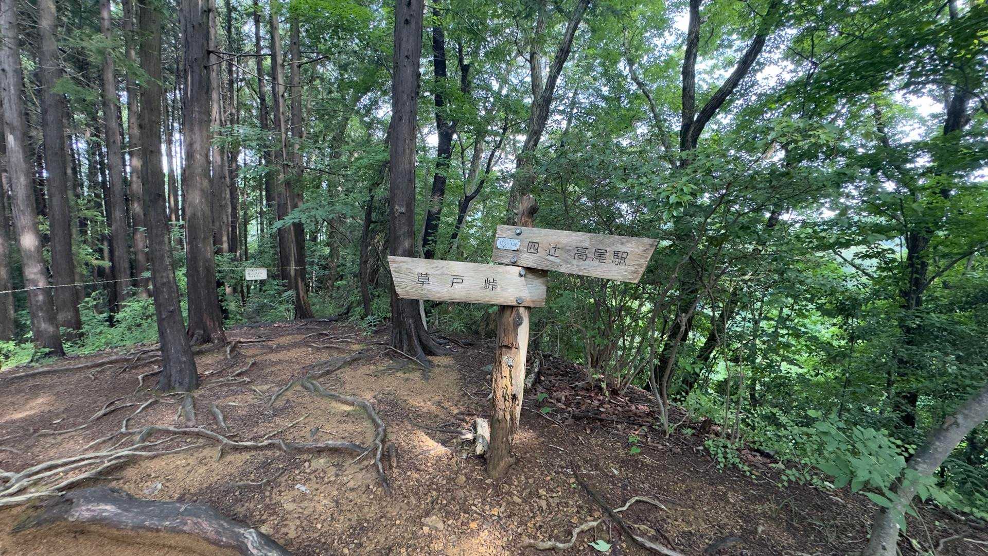 高尾山ビアマウント🍻（草戸山・榎窪山・泰光寺山・東山・入沢山・名手山・大登不見山・中沢山・高岩山・コンピラ山・大洞山...） の写真 1