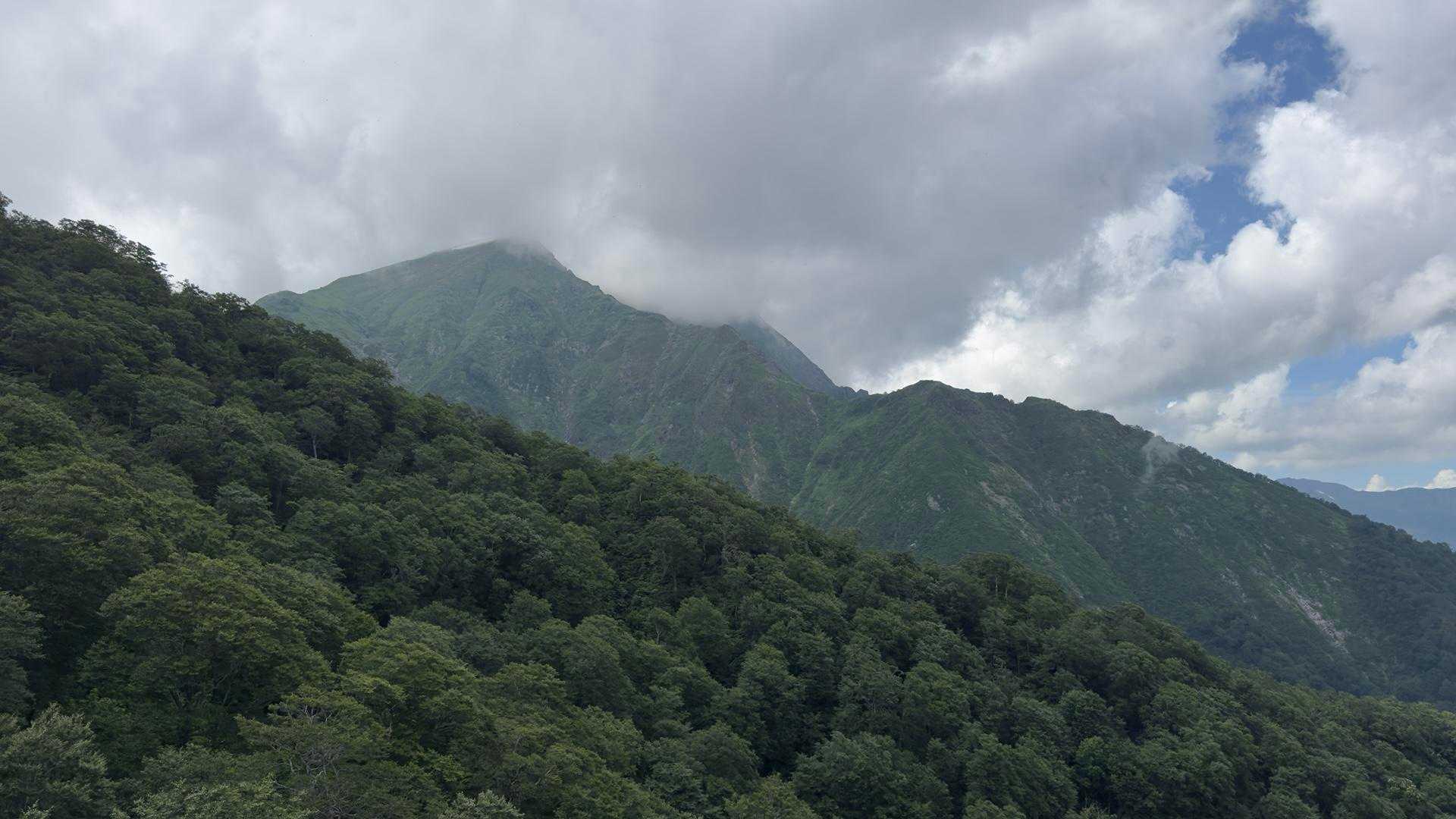 谷川岳（トマの耳・オキノ耳） via 西黒尾根 の写真 35