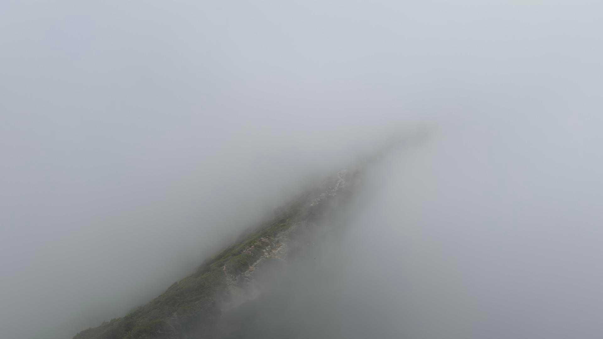 谷川岳（トマの耳・オキノ耳） via 西黒尾根 の写真 31