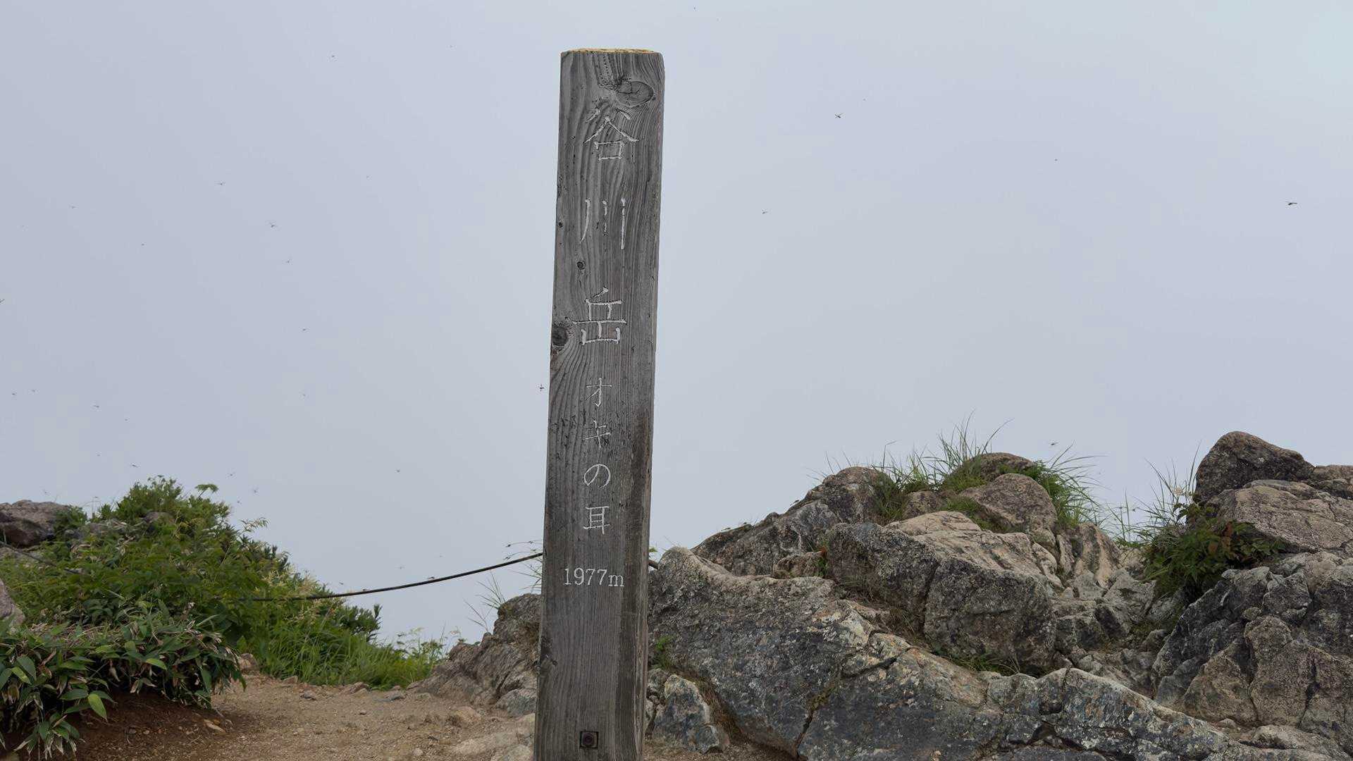 谷川岳（トマの耳・オキノ耳） via 西黒尾根 の写真 28