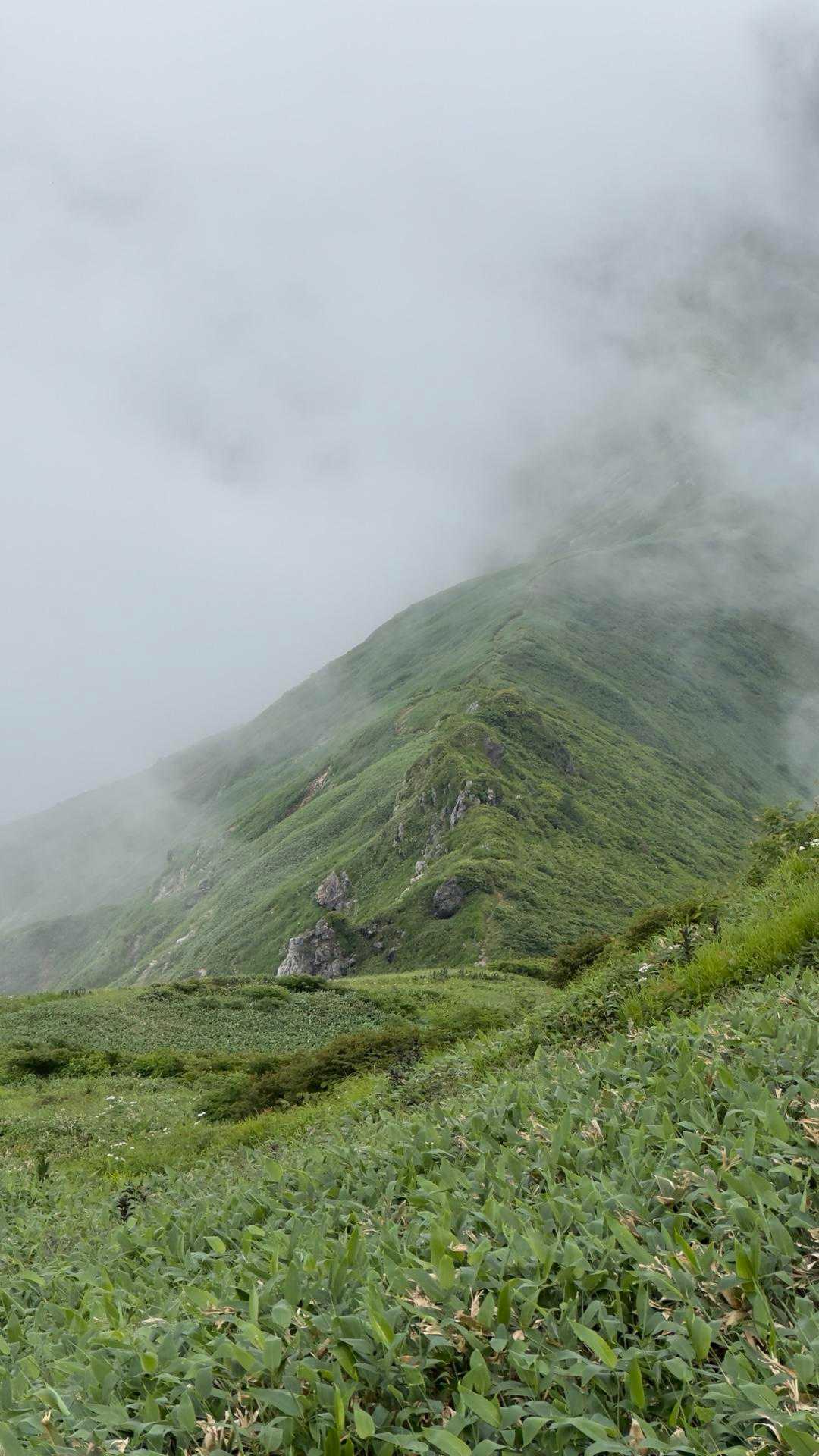 谷川岳（トマの耳・オキノ耳） via 西黒尾根 の写真 22