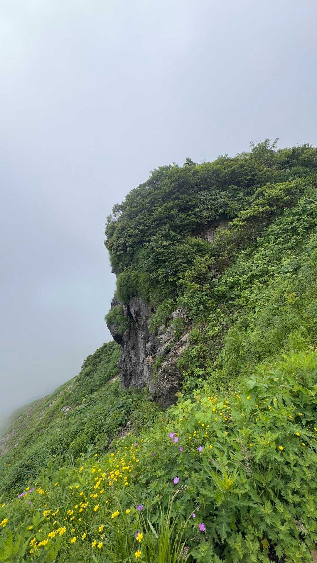 谷川岳（トマの耳・オキノ耳） via 西黒尾根 の写真 18