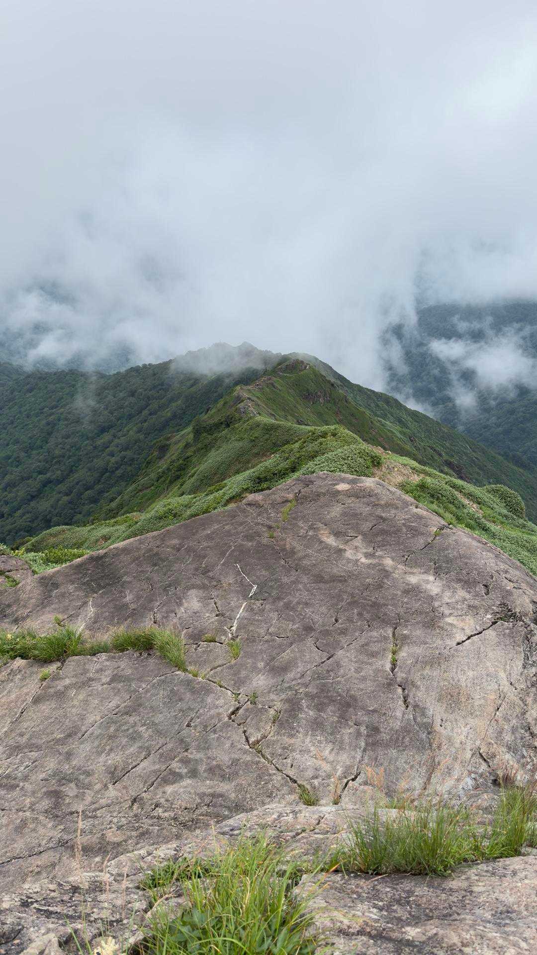 谷川岳（トマの耳・オキノ耳） via 西黒尾根 の写真 16