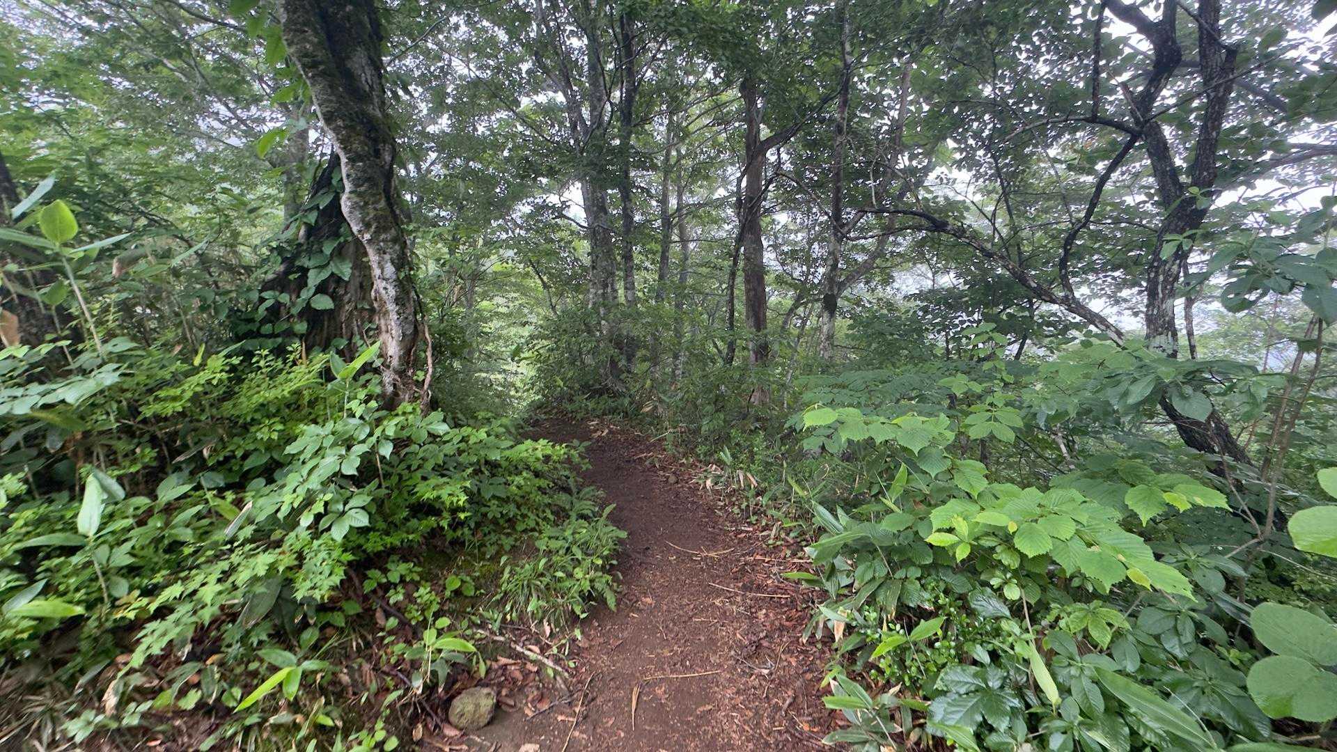 谷川岳（トマの耳・オキノ耳） via 西黒尾根 の写真 3