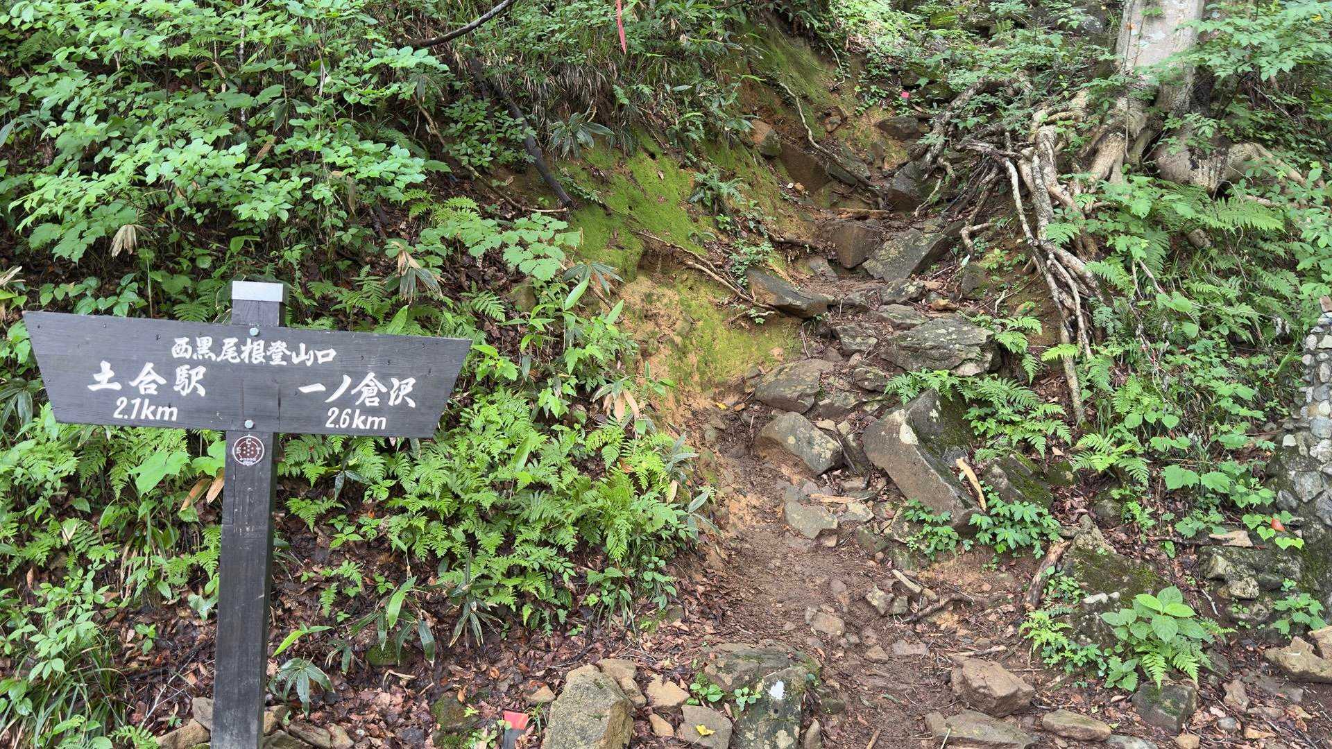 谷川岳（トマの耳・オキノ耳） via 西黒尾根 の写真 1