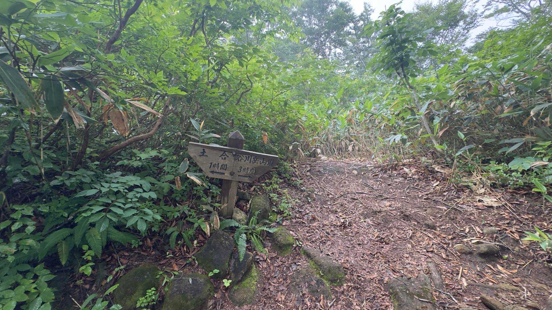 谷川岳（トマの耳・オキノ耳） via 西黒尾根 の写真 2