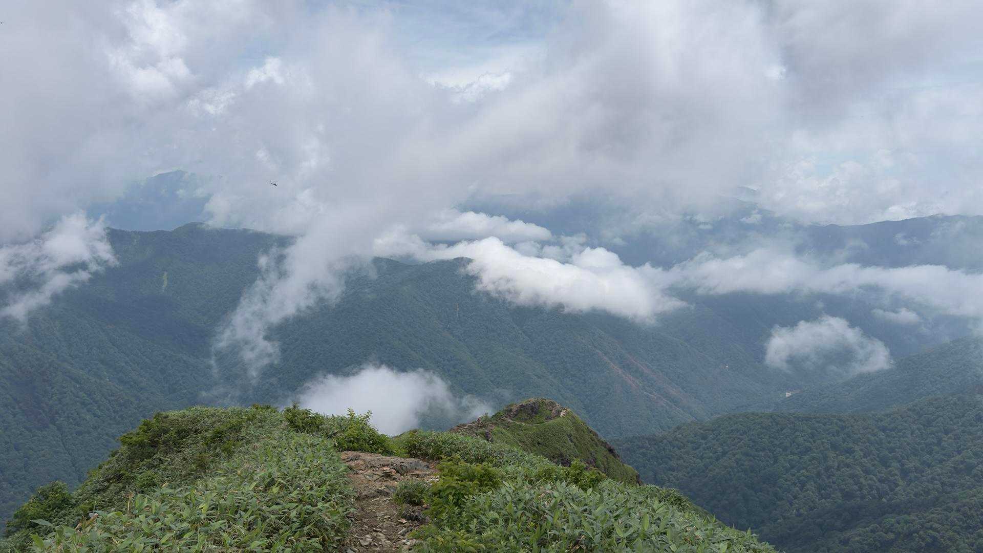 谷川岳（トマの耳・オキノ耳） via 西黒尾根 の写真 15