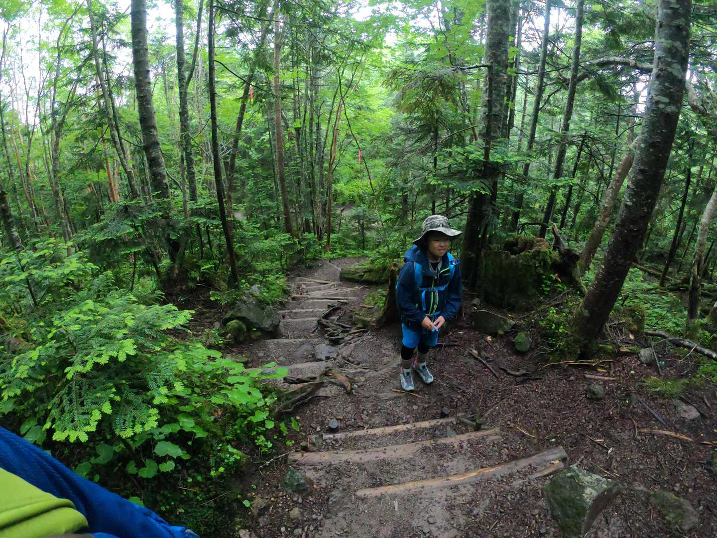 日光白根山 の写真 11