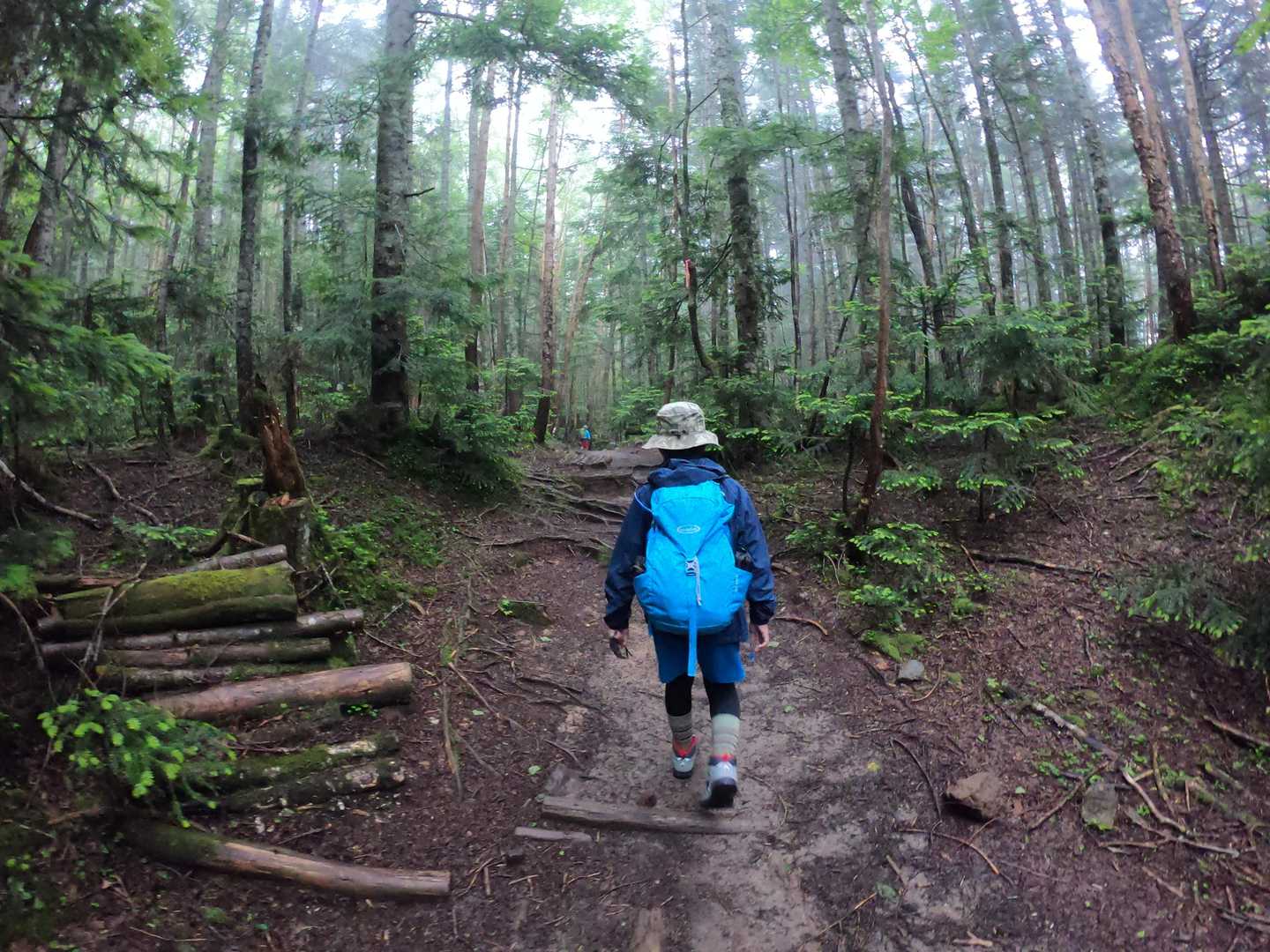 日光白根山 の写真 9