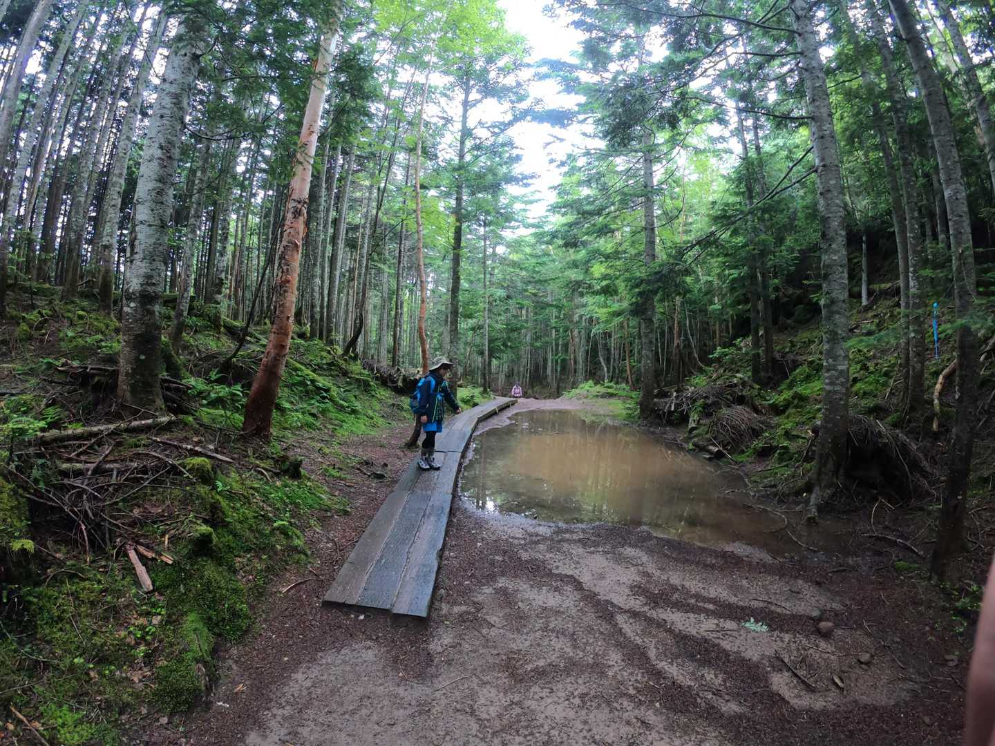 日光白根山 の写真 7