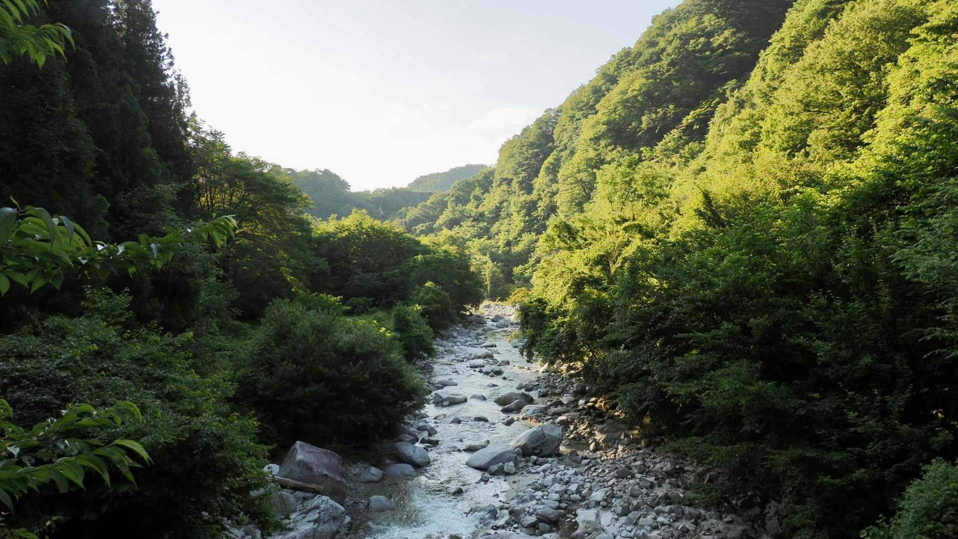 甲斐駒ヶ岳（黒戸尾根）、七丈小屋テン泊 の写真 2