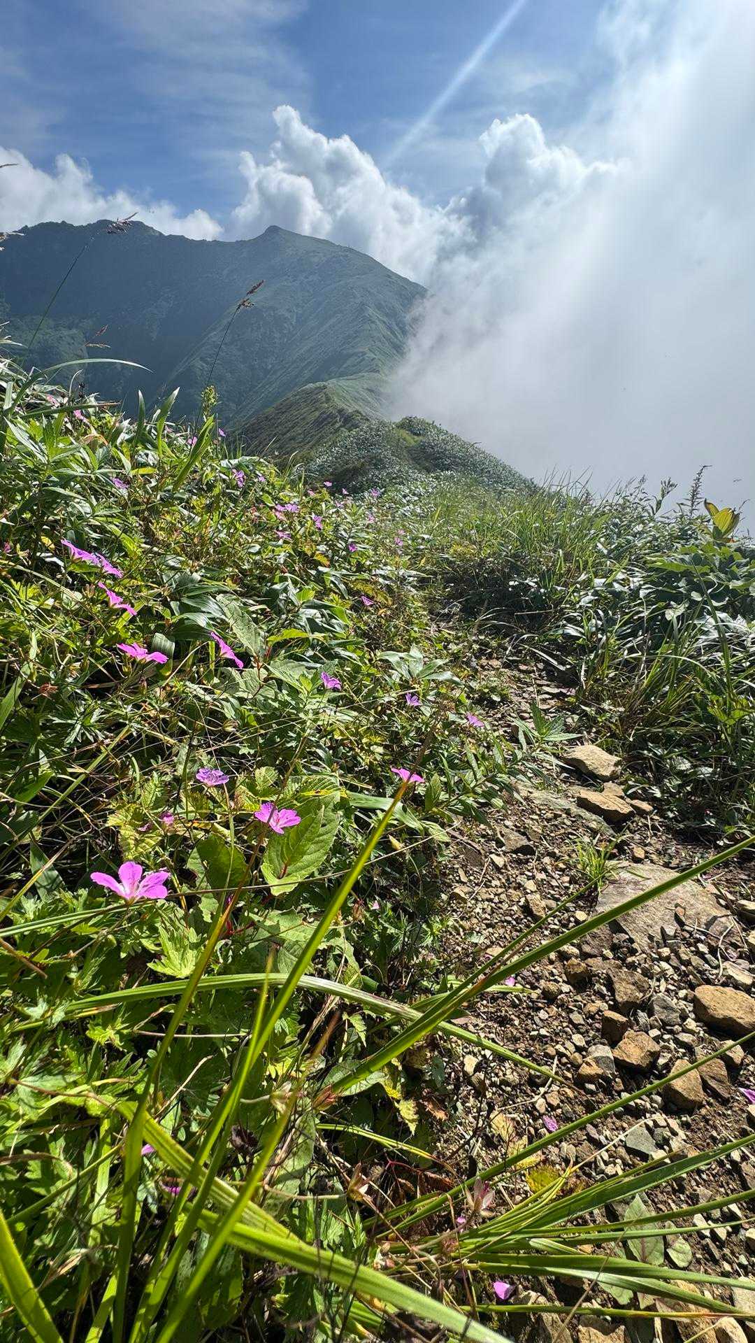 谷川岳主脈縦走（平標山・仙ノ倉山・万太郎山・谷川岳） の写真 85