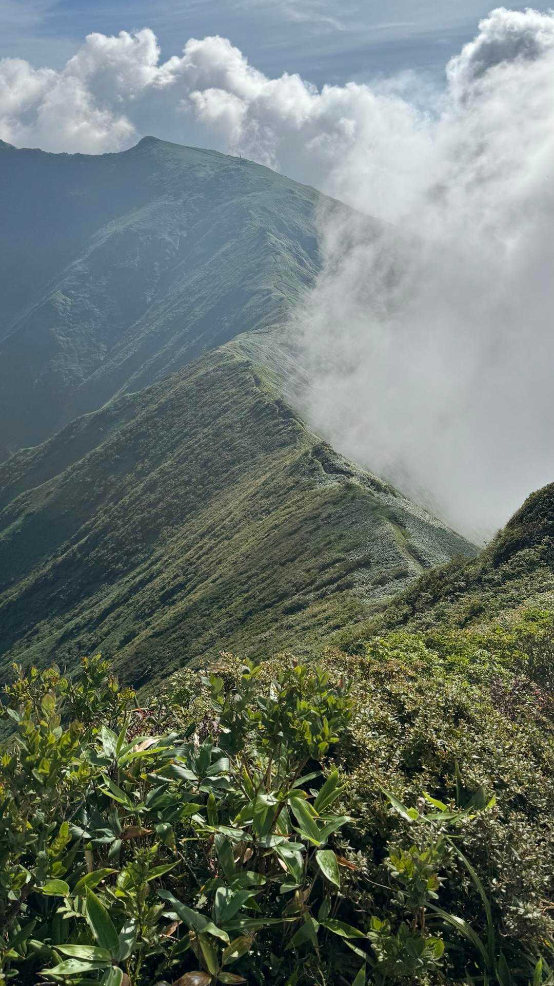 谷川岳主脈縦走（平標山・仙ノ倉山・万太郎山・谷川岳） の写真 82
