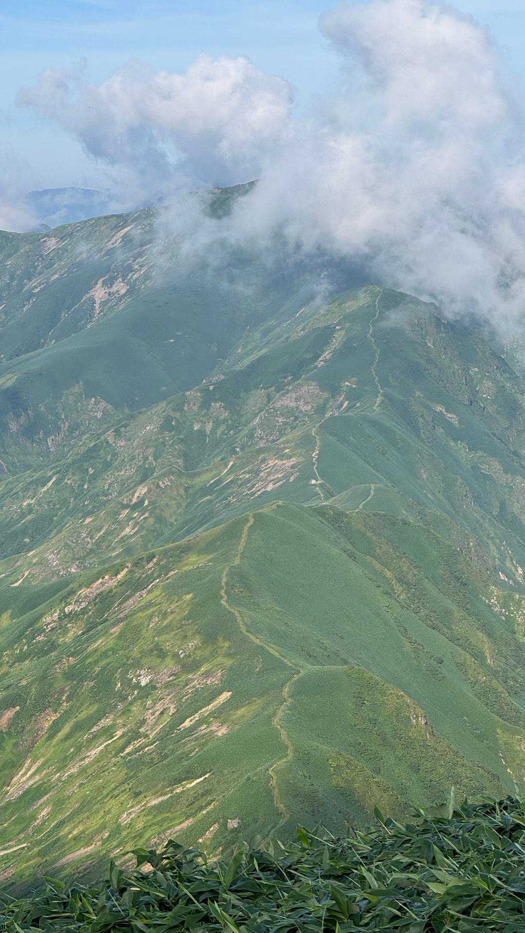 谷川岳主脈縦走（平標山・仙ノ倉山・万太郎山・谷川岳） の写真 71