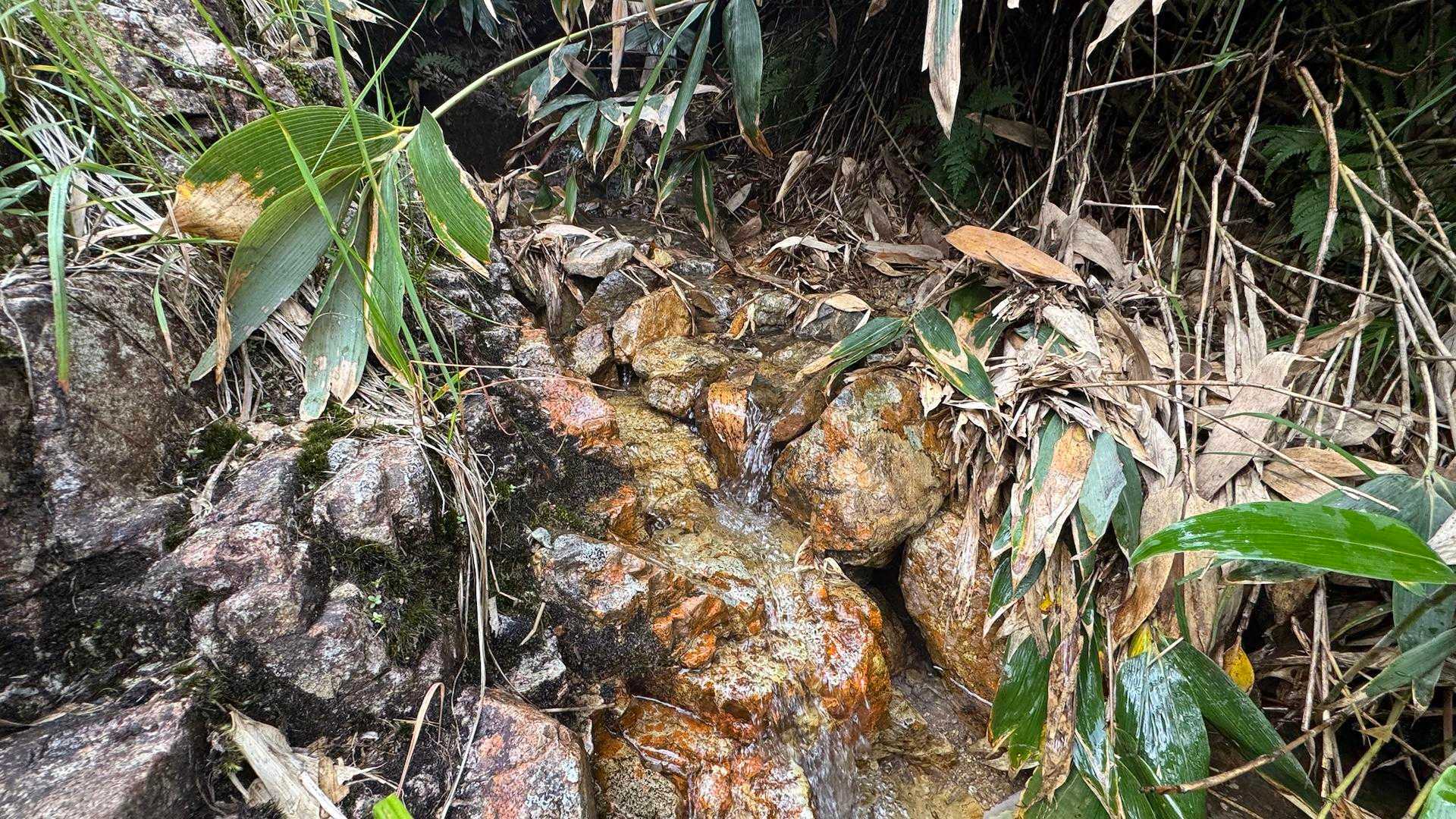 水場