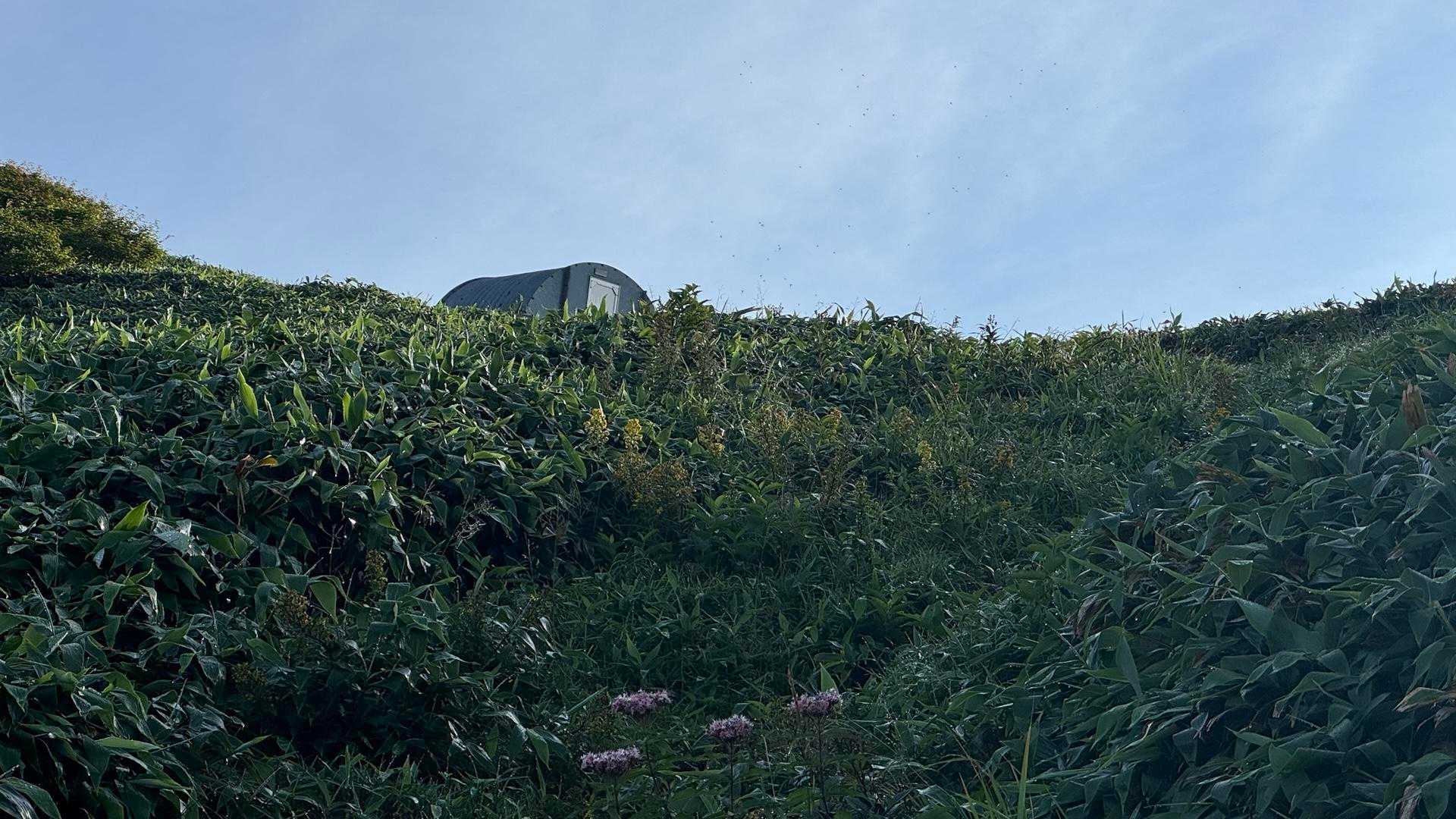 谷川岳主脈縦走（平標山・仙ノ倉山・万太郎山・谷川岳） の写真 69