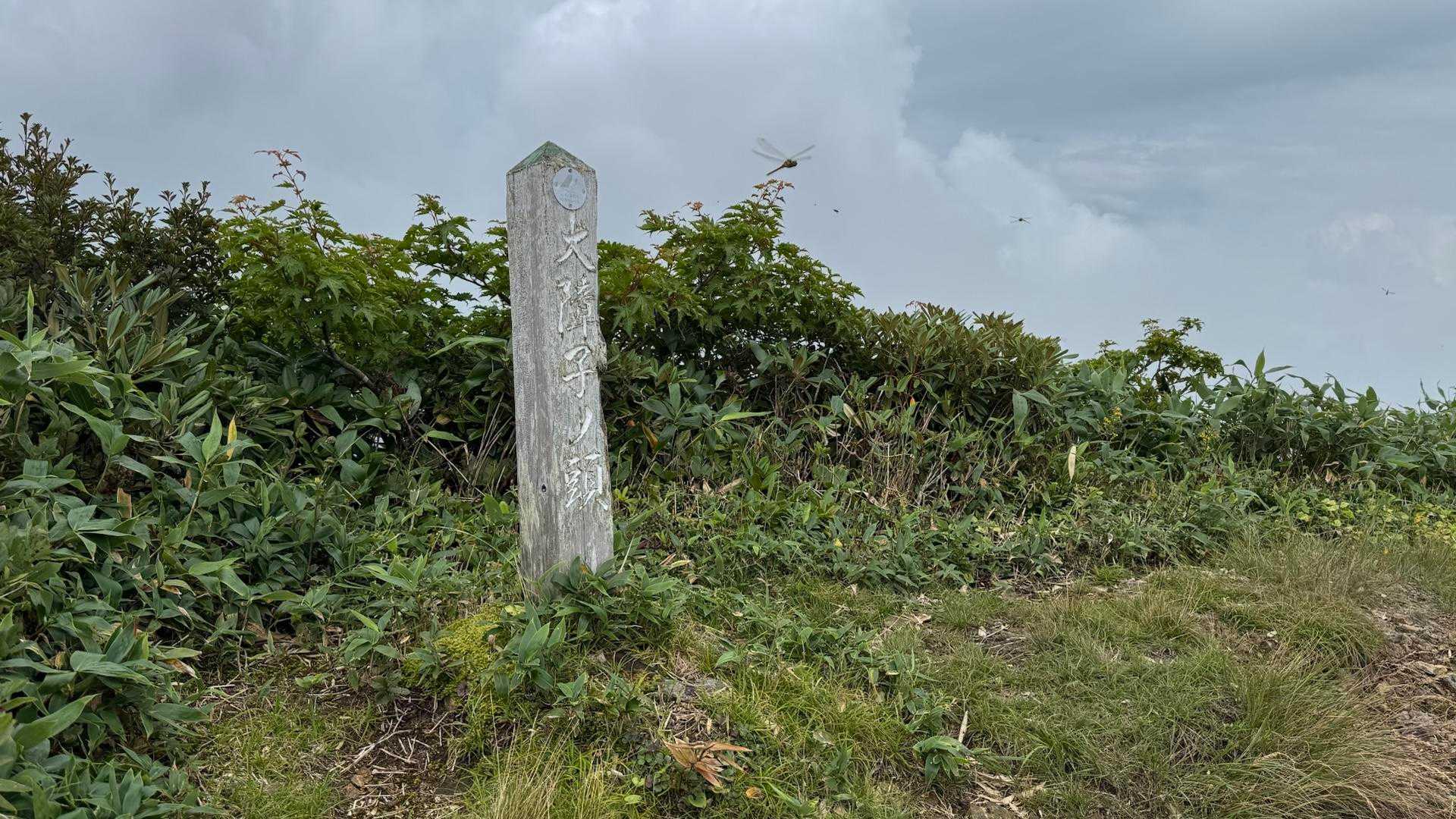 谷川岳主脈縦走（平標山・仙ノ倉山・万太郎山・谷川岳） の写真 53