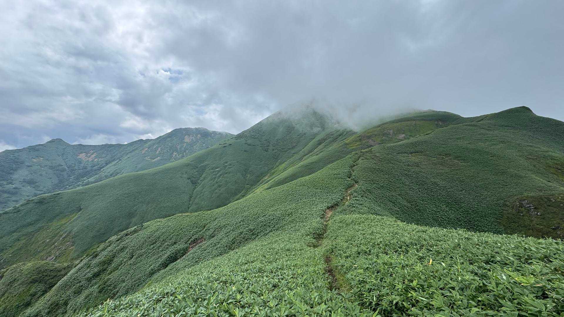 谷川岳主脈縦走（平標山・仙ノ倉山・万太郎山・谷川岳） の写真 52